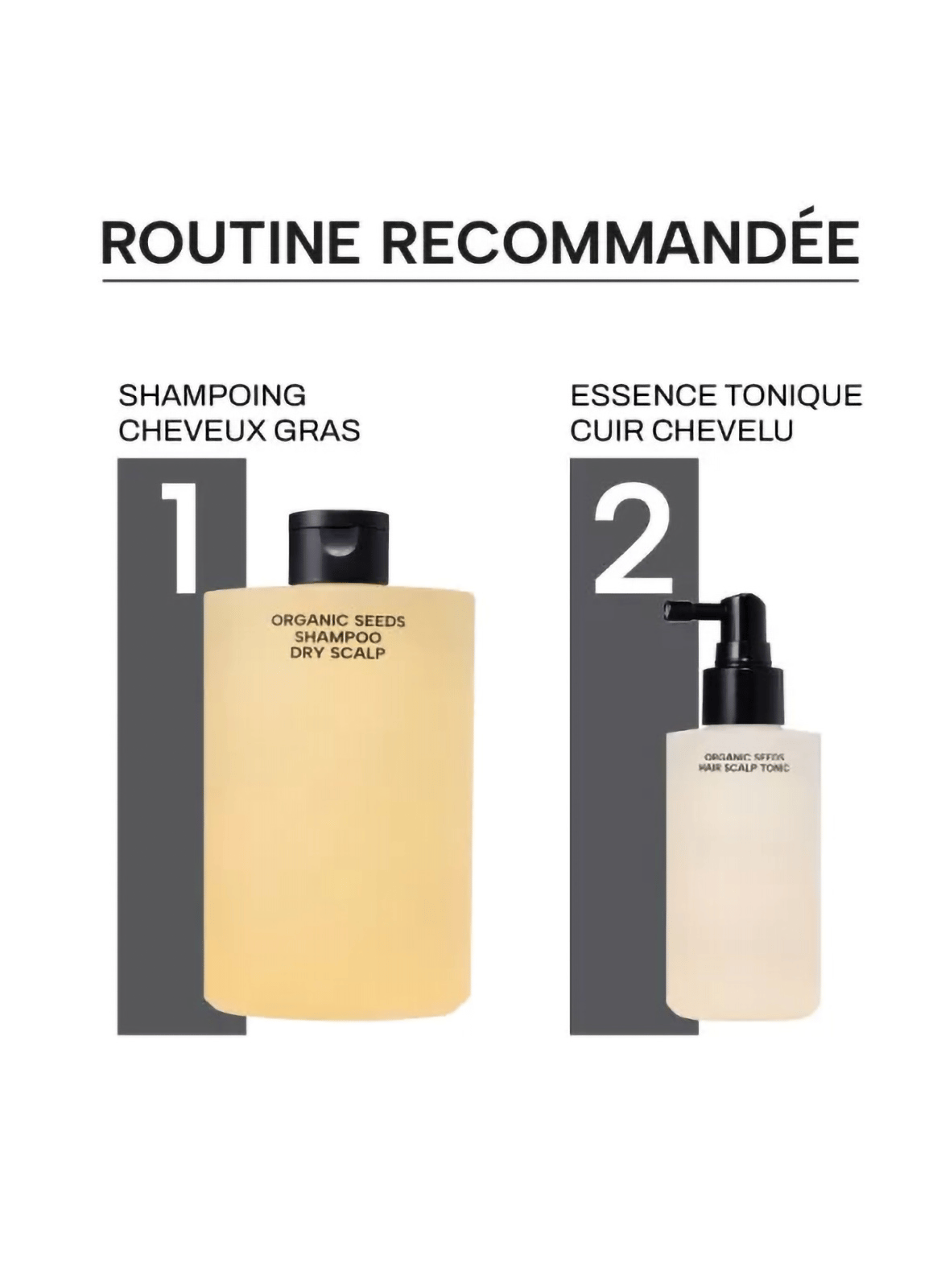 Fermented Organic Seed Scalp Tonic WHAMISA No color