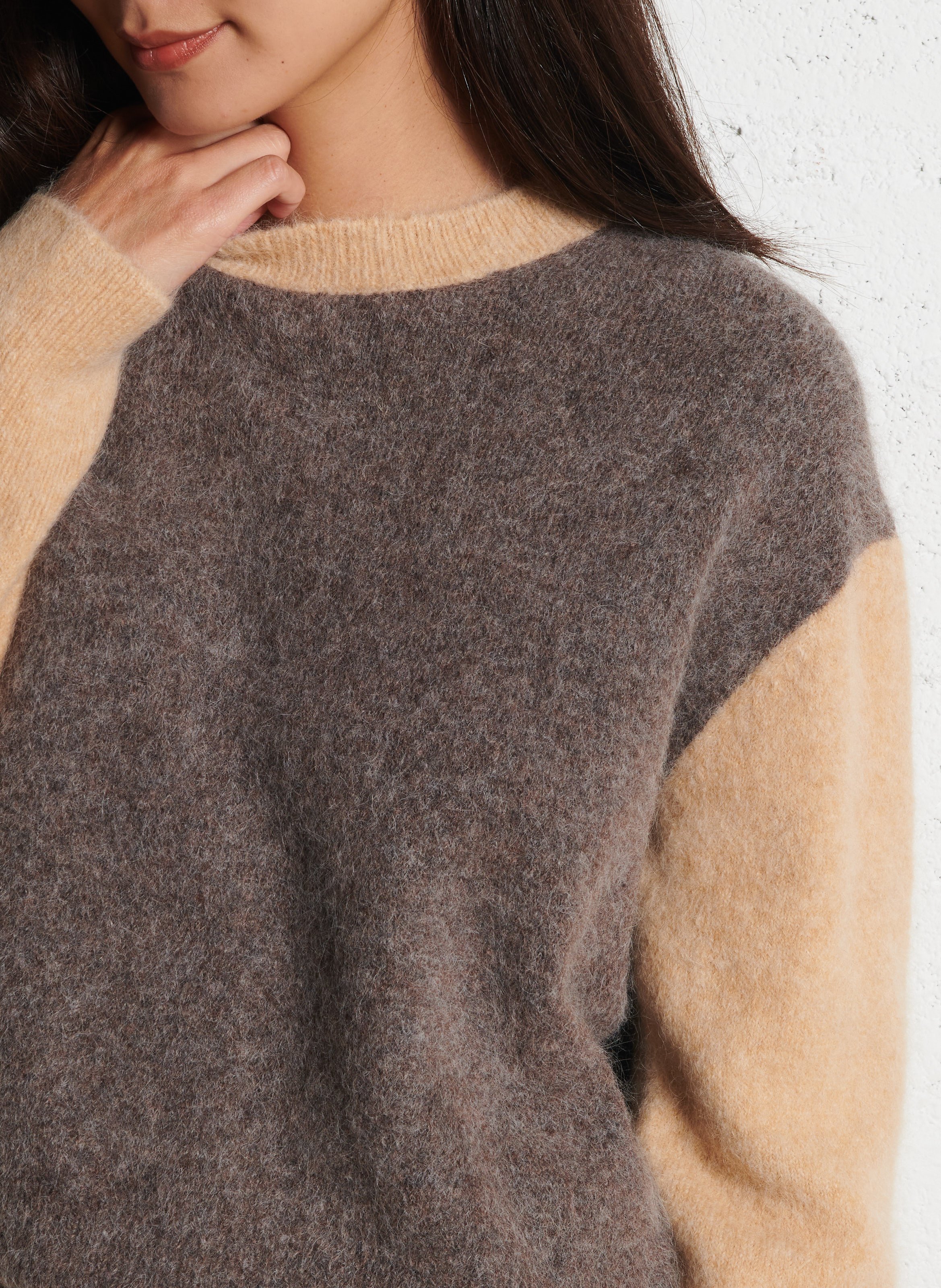 Pull ample col rond en alpaga mélangé MAJESTIC FILATURES Multicolore