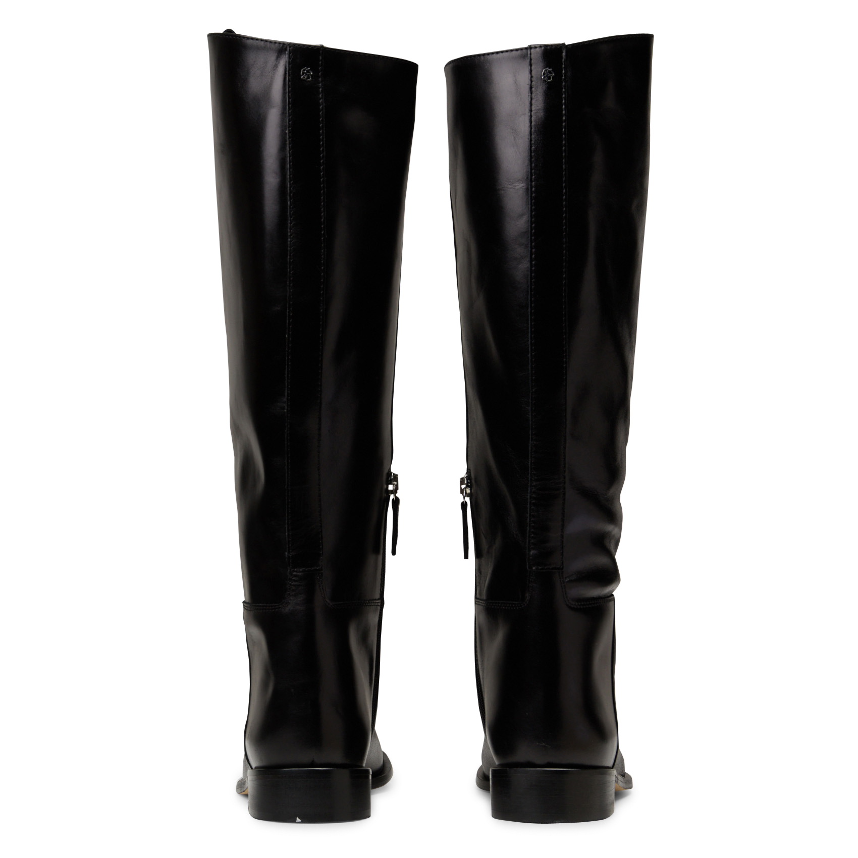 Stiefel mit rundem Zehenbereich und Reißverschluss aus Leder ODARE Schwarz