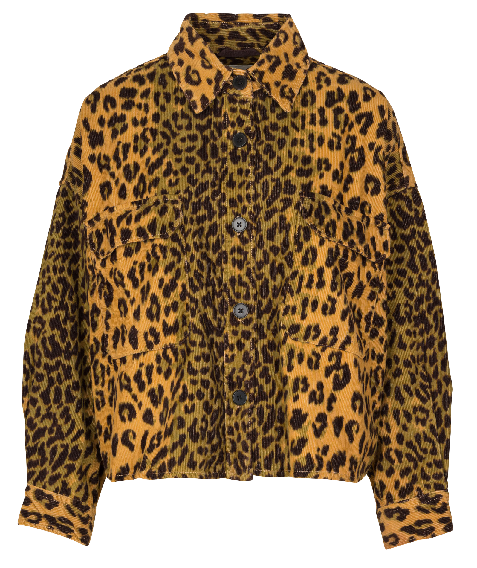 Classic collar overshirt with leopard print BELLEROSE Multicolored