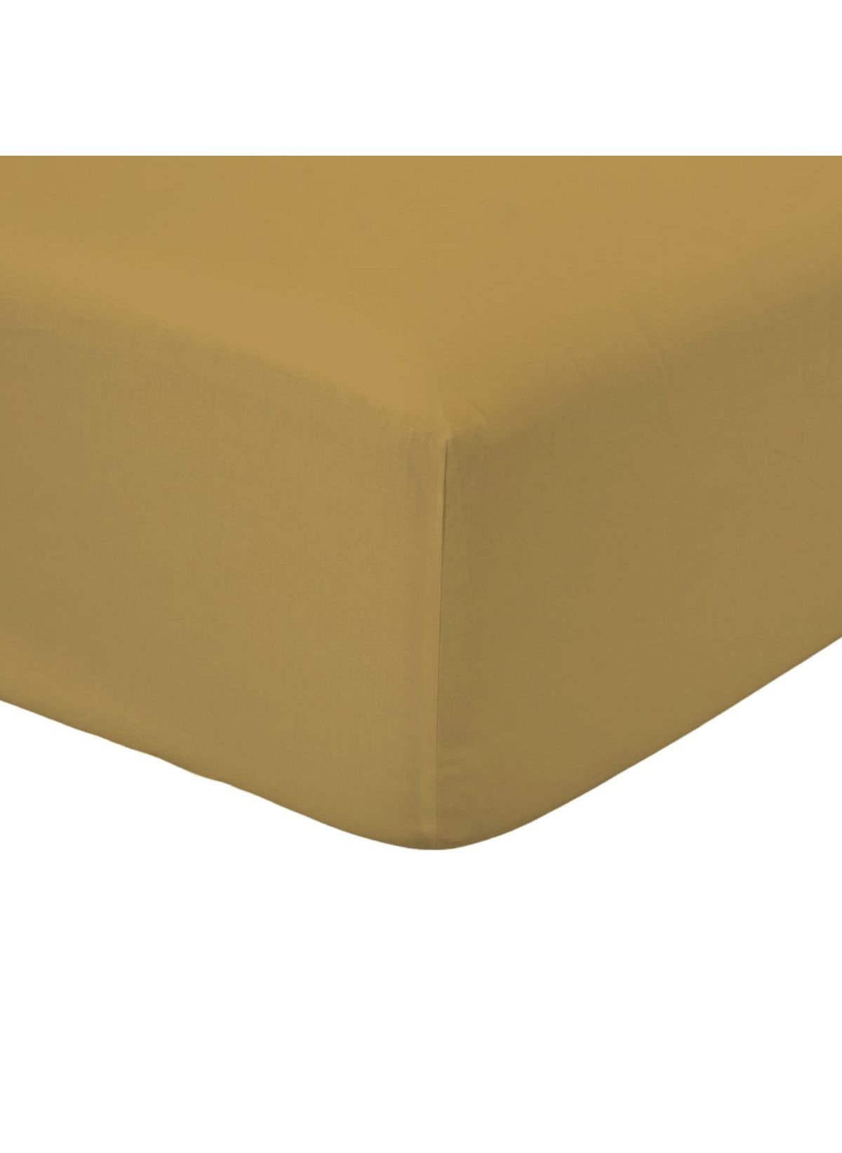 Solid color fitted sheet in cotton TODAY LINGE DE MAISON Brown