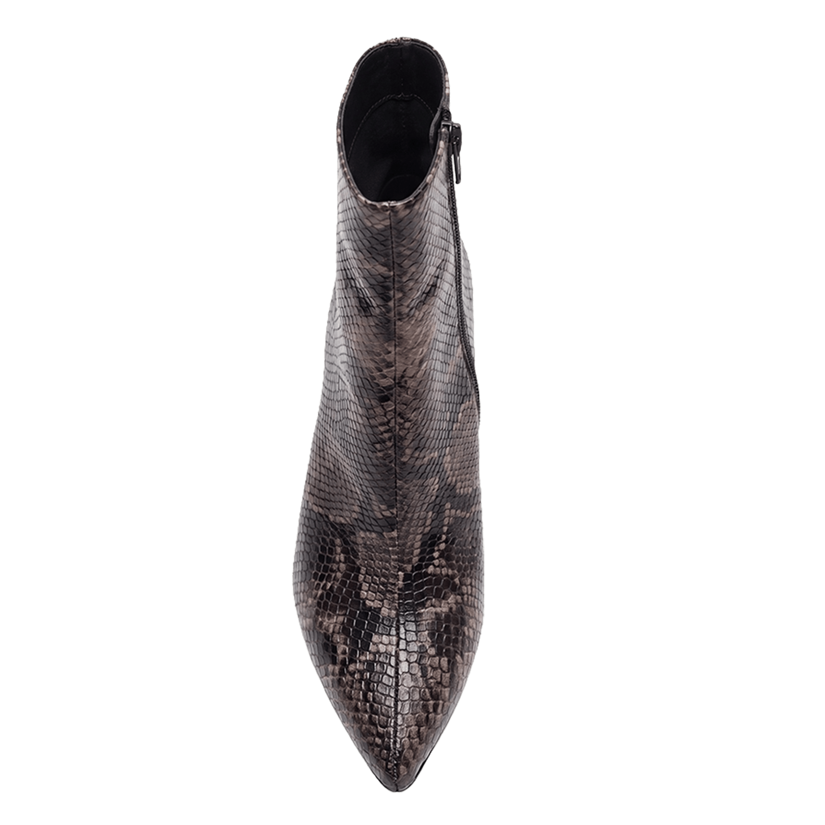 Printed leather ankle boots JONAK Brown