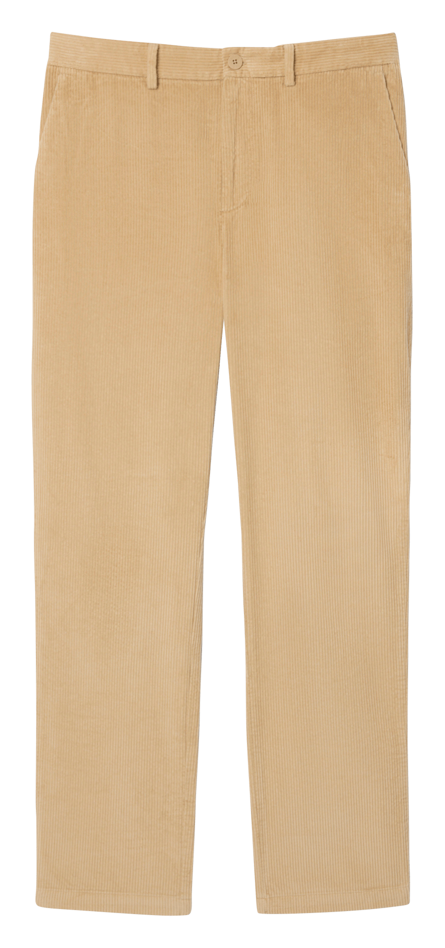 Rechte broek van ribkatoen LACOSTE Beige