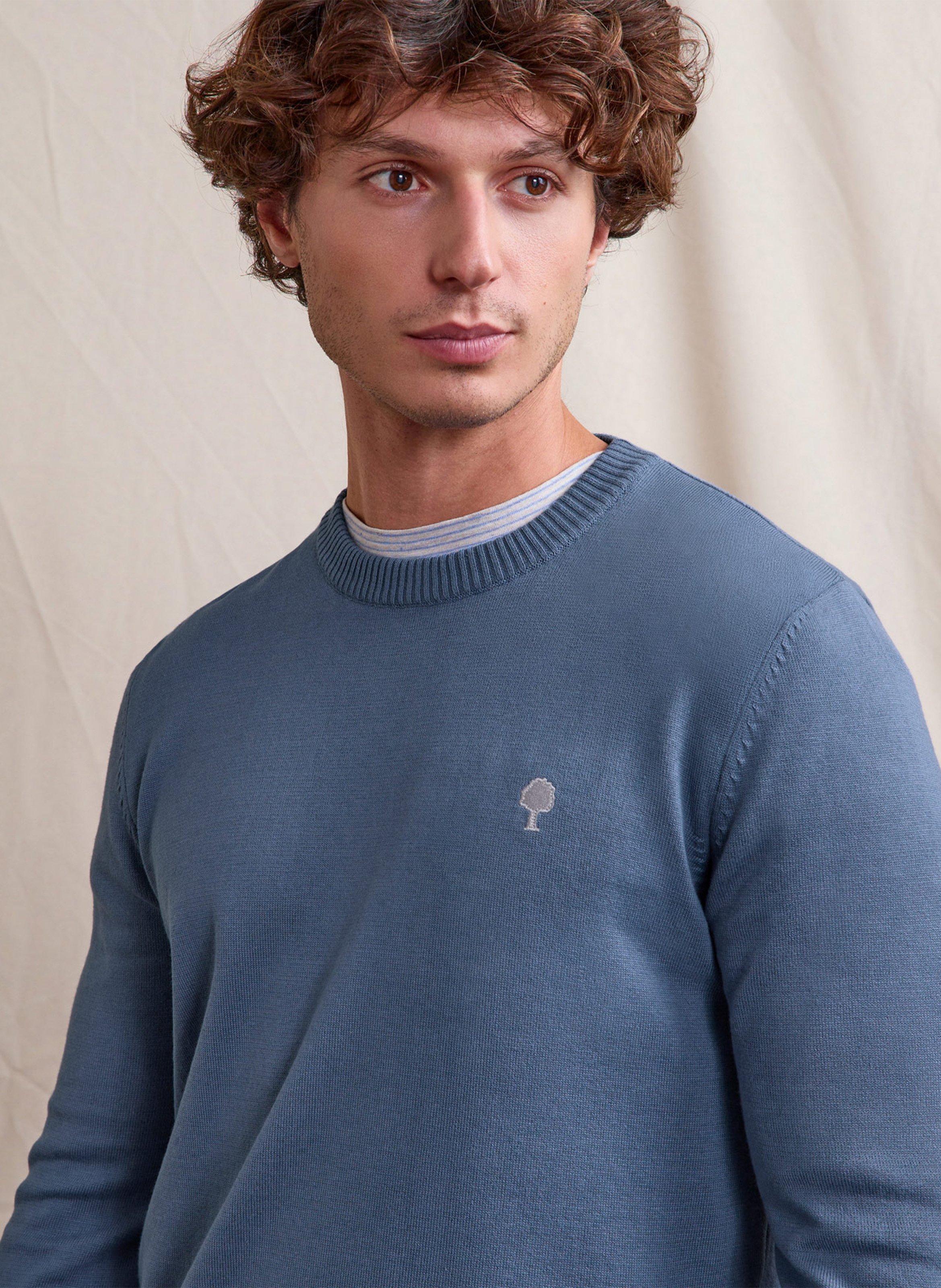 Straight-fit, katoenen trui met ronde hals FAGUO Blauw