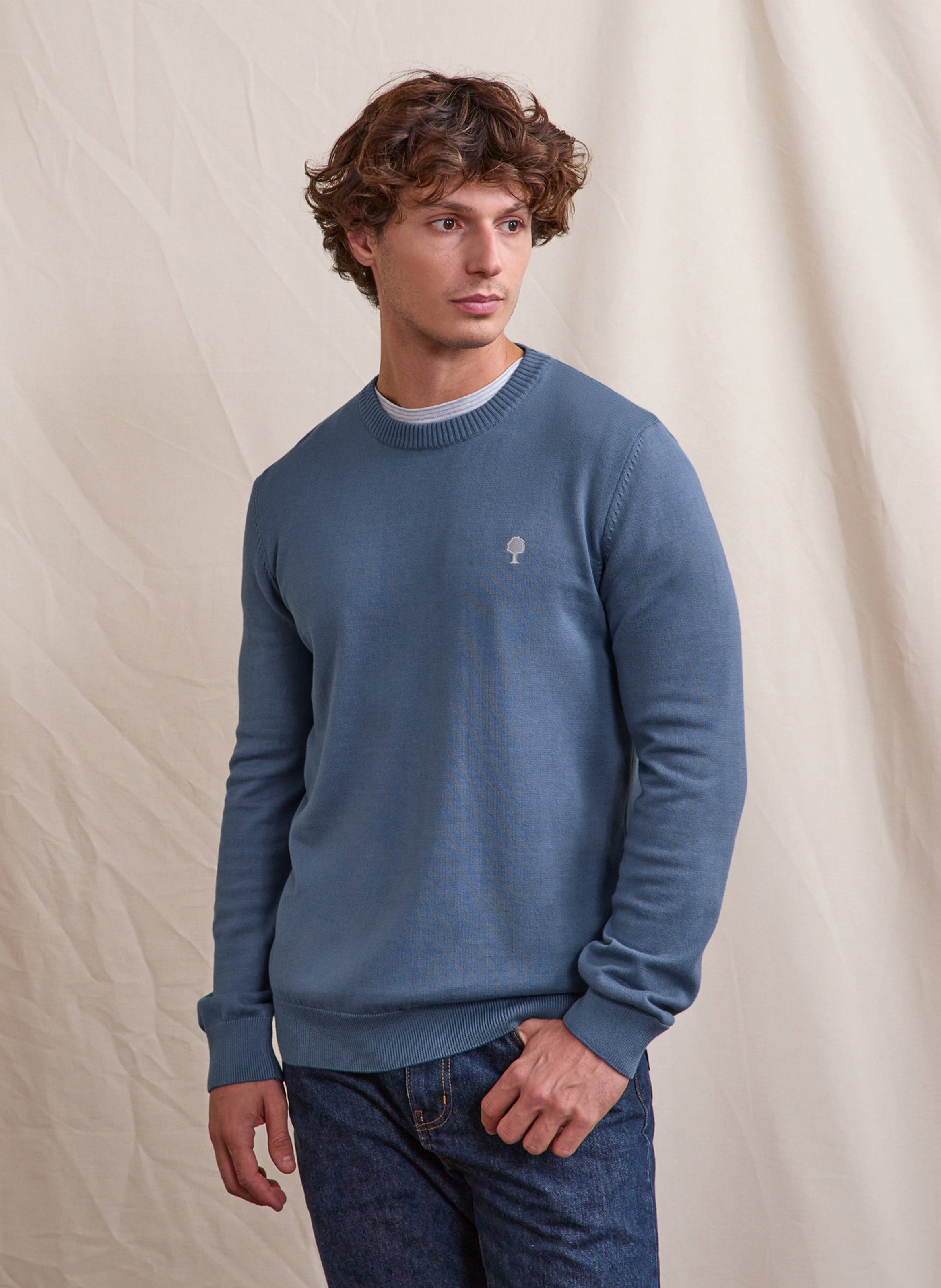 Straight-fit, katoenen trui met ronde hals FAGUO Blauw