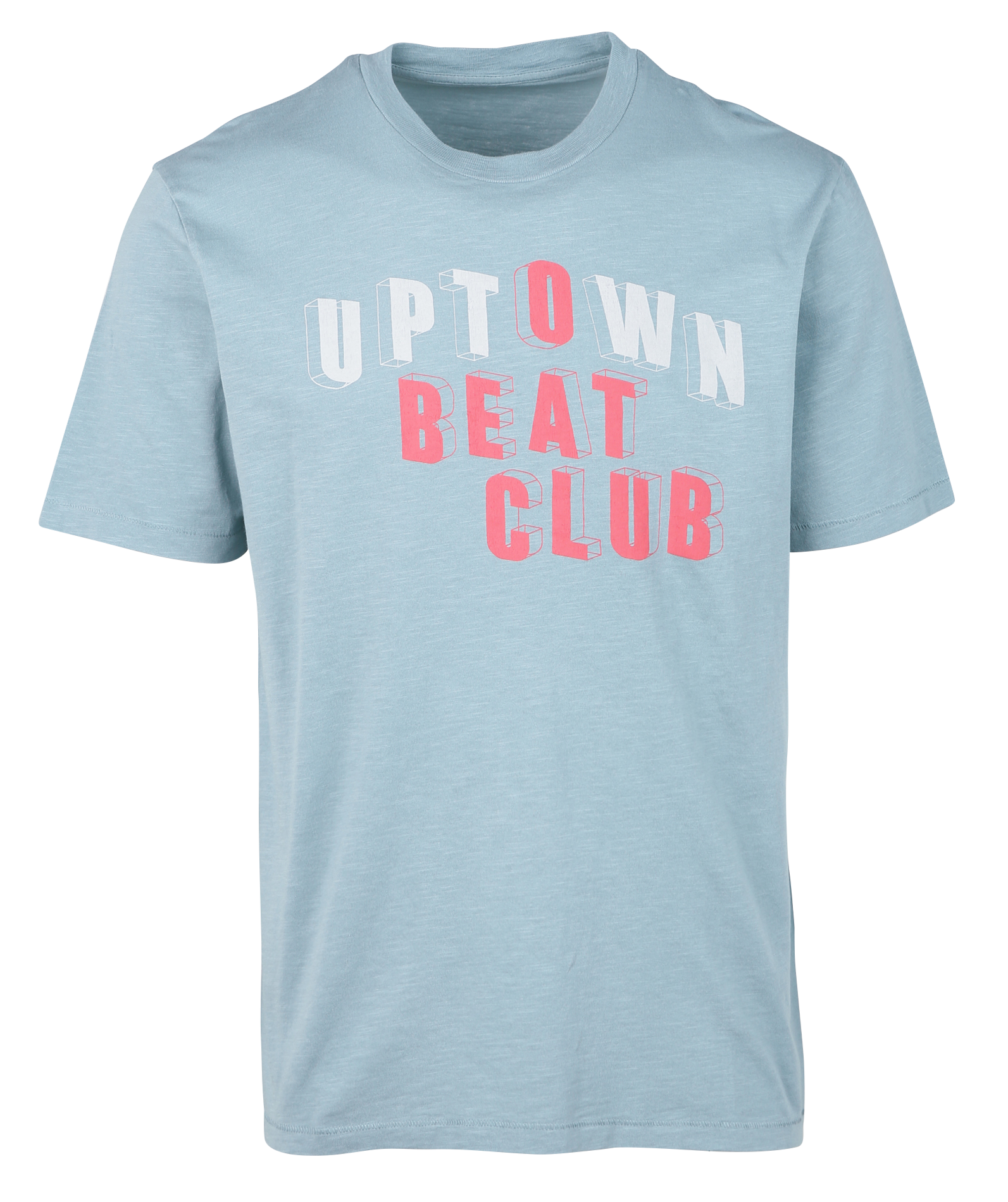 Screen-printed cotton T-shirt HARTFORD Blue