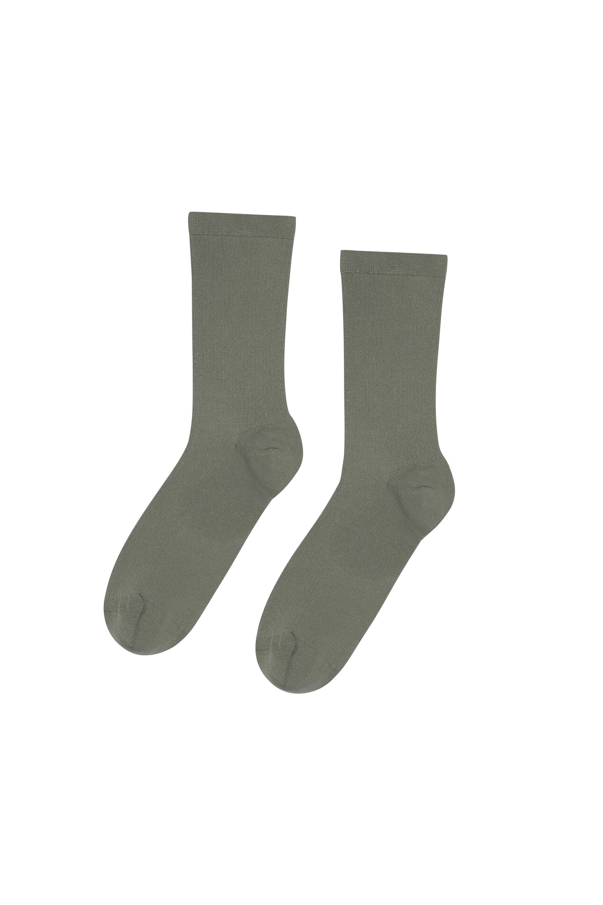 Socks COLORFUL STANDARD
