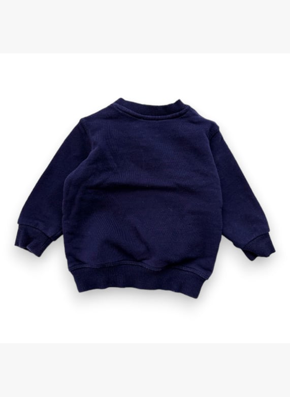 Pull Bleu Marine Avec Tigre Brode 6 Mois Bleu Kenzo Seconde Main Enfant C106P8235 V1 Place des Tendances