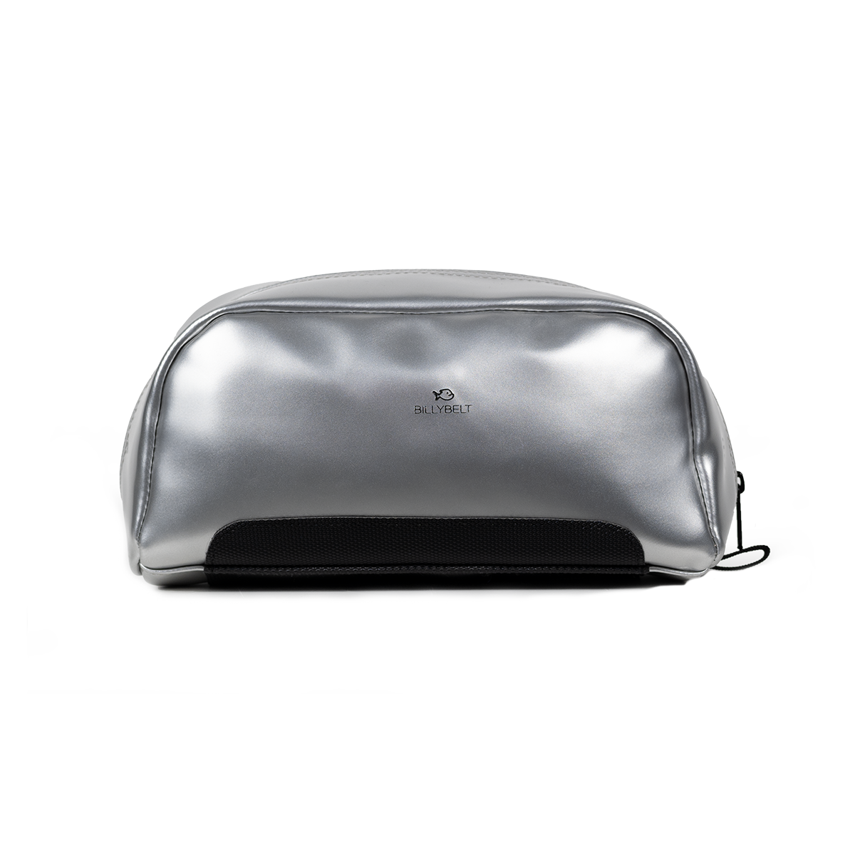 Sponge bag BILLYBELT Silver