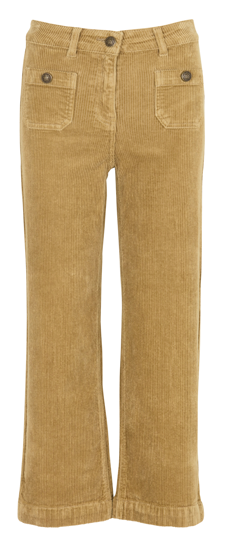 Broek met rechte pijpen van velours MAISON 123 Groen