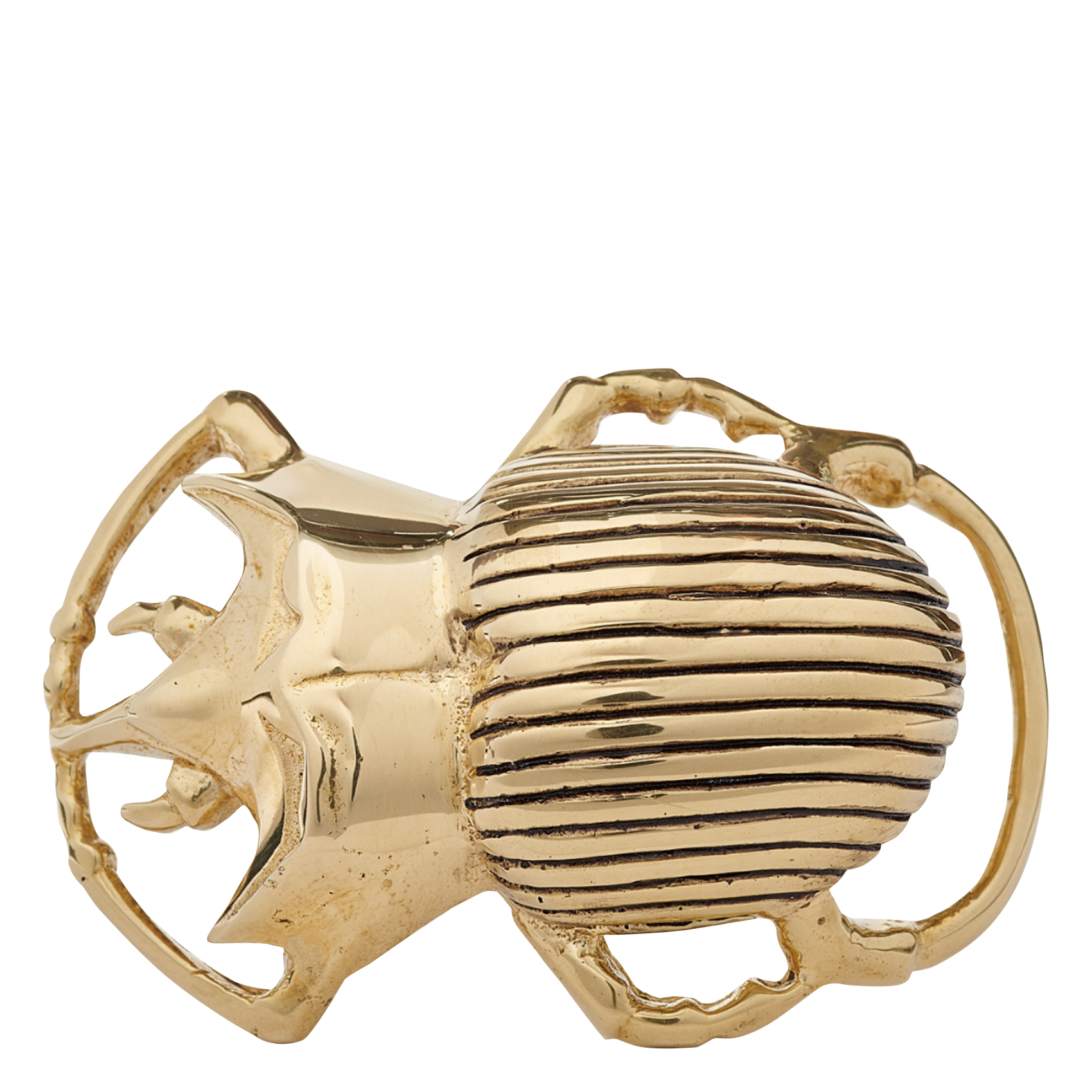 Ceinture fine en cuir python CLARIS VIROT Marron