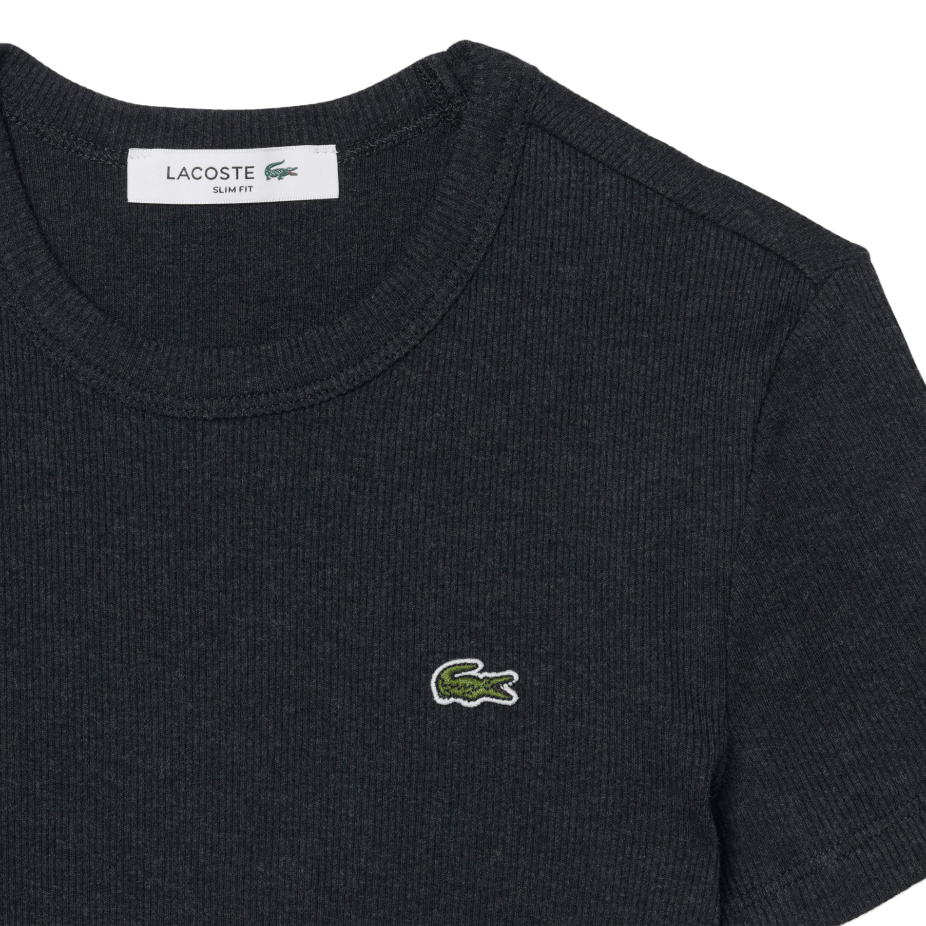 Close-fit round-neck cotton T-shirt LACOSTE Brown