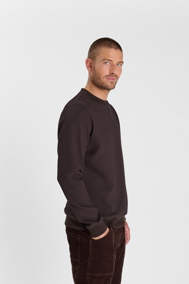 Sweatshirt LE TEMPS DES CERISES Brown
