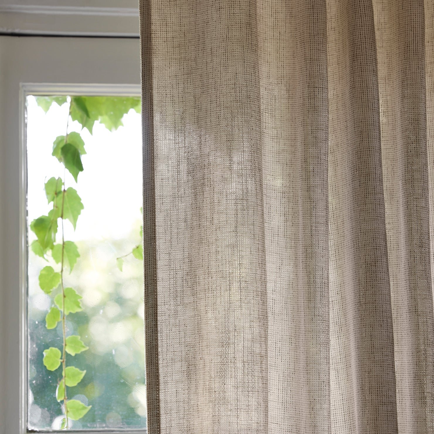 Net curtain with loops MADURA Beige