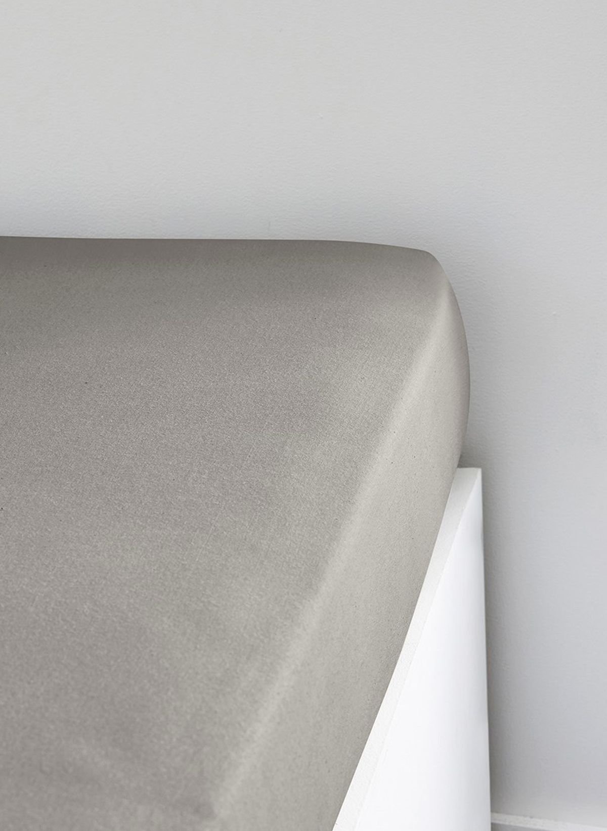 Solid color fitted sheet in cotton TODAY LINGE DE MAISON Beige