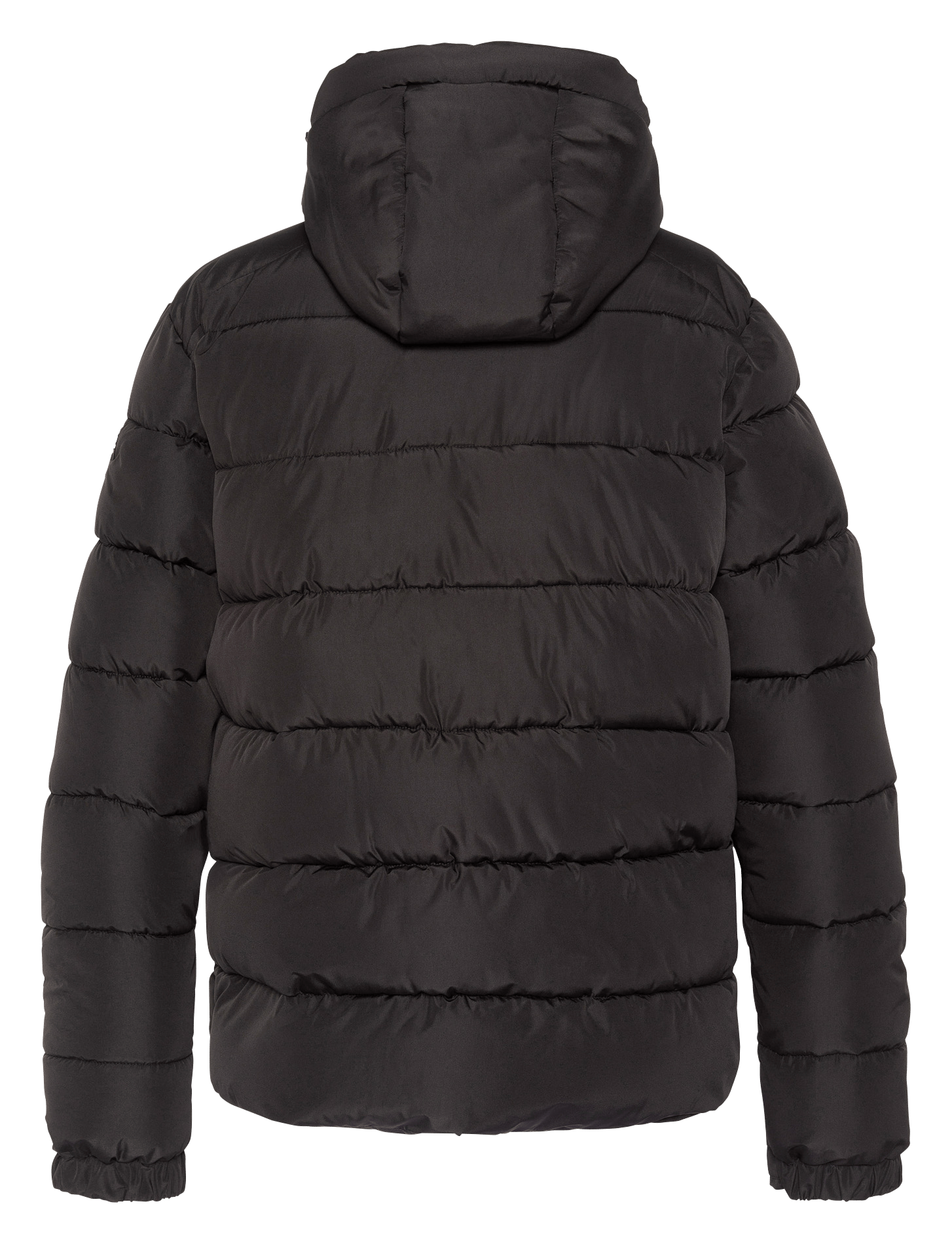 Straight padded jacket with hood SCHOTT Black