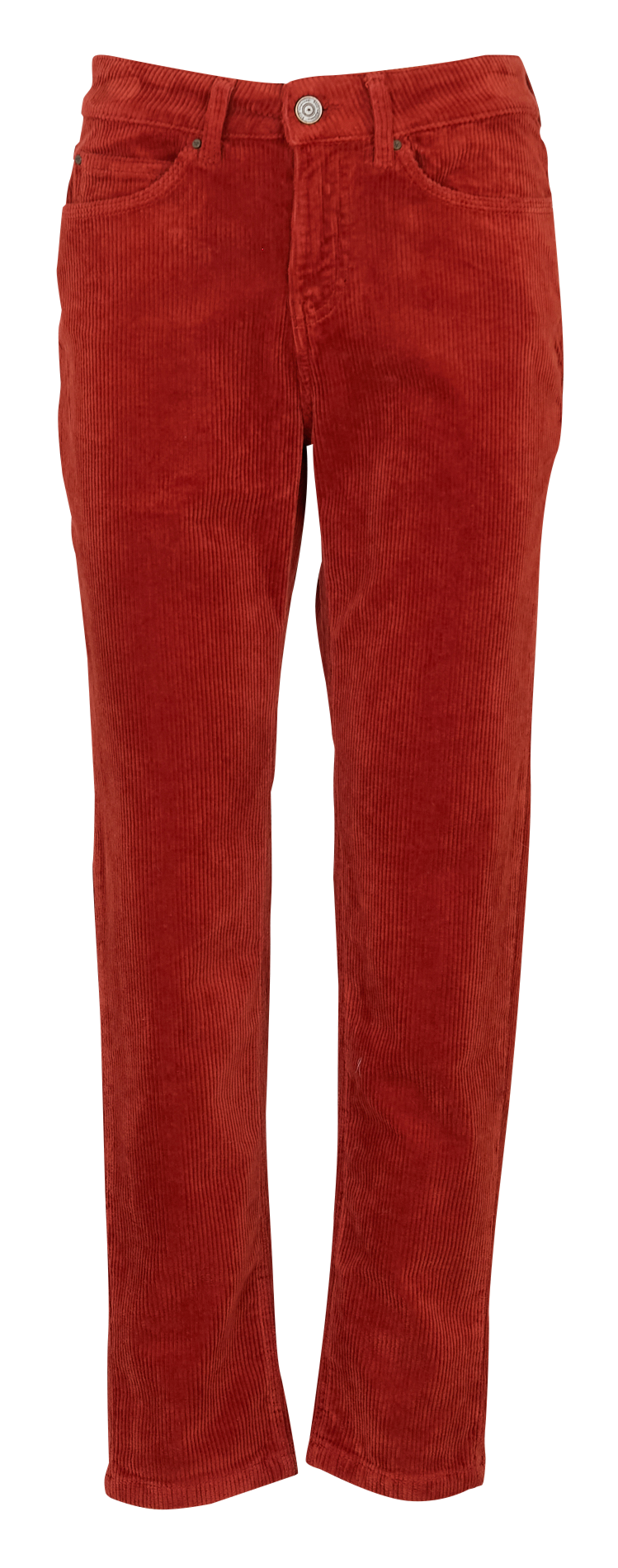 Pantalon droit velours côtelé en coton stretch  SUD EXPRESS Marron