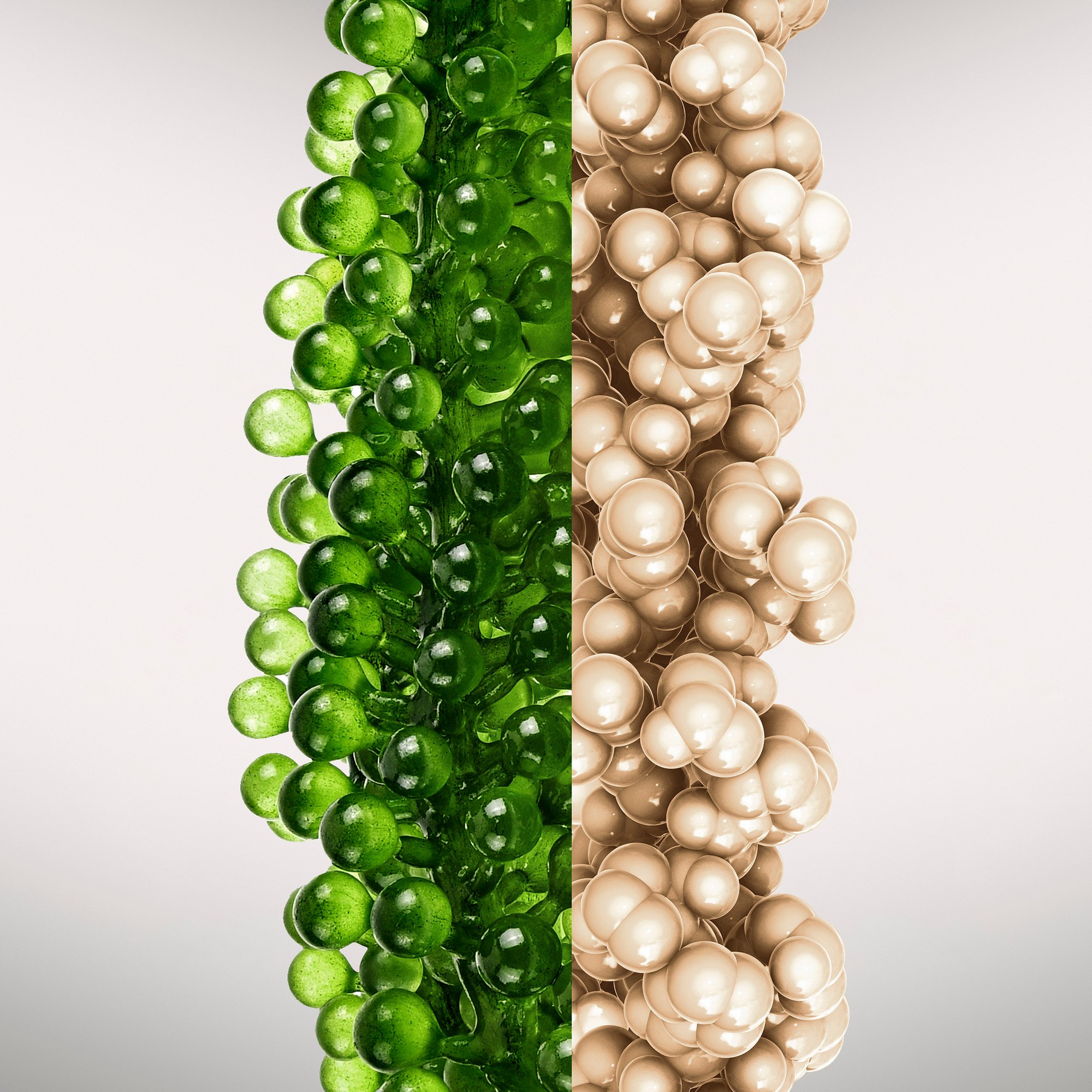 Stimulskin Plus - Absolute Renewal Infusion Cream DARPHIN No color