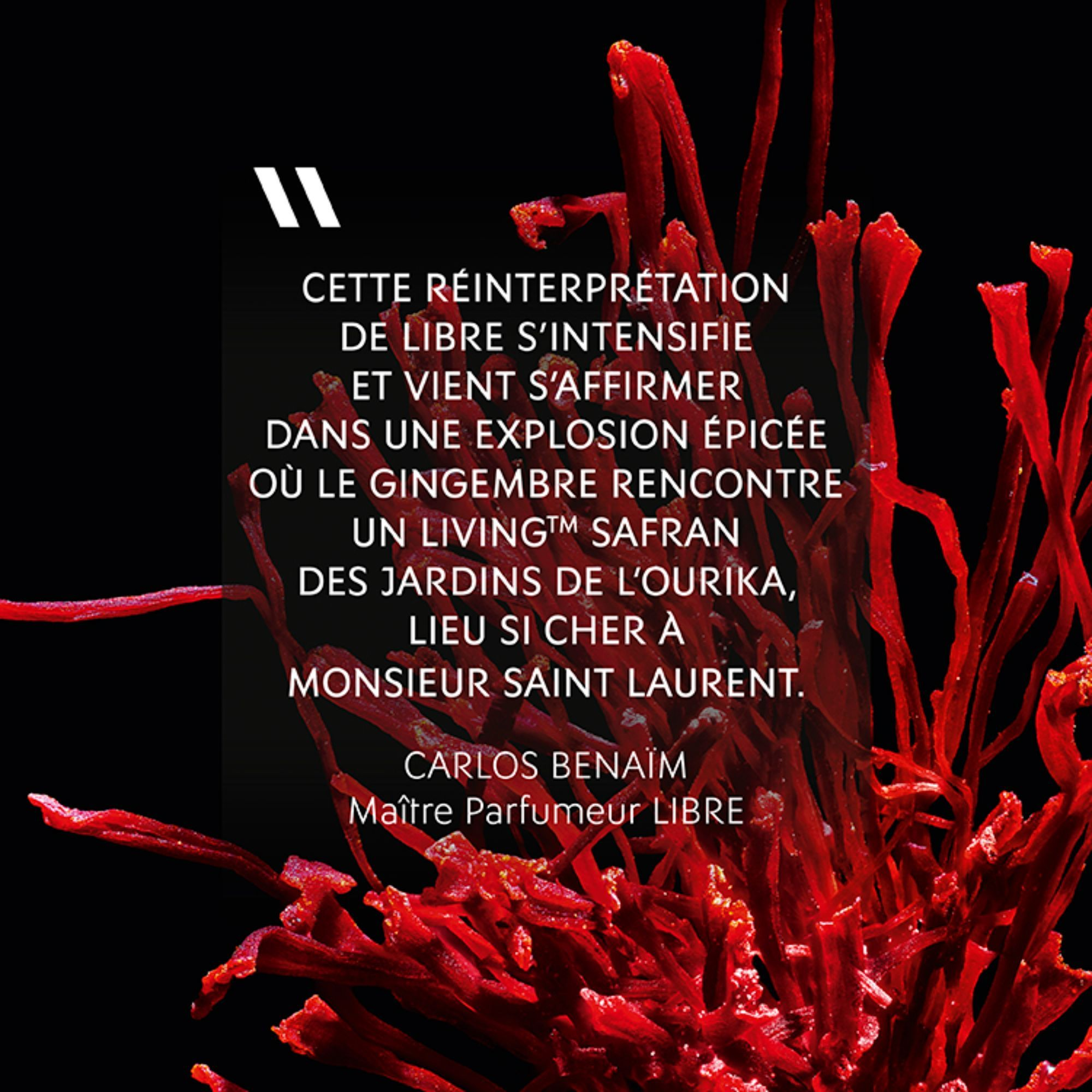 Libre - Eau de parfum YVES SAINT LAURENT No color