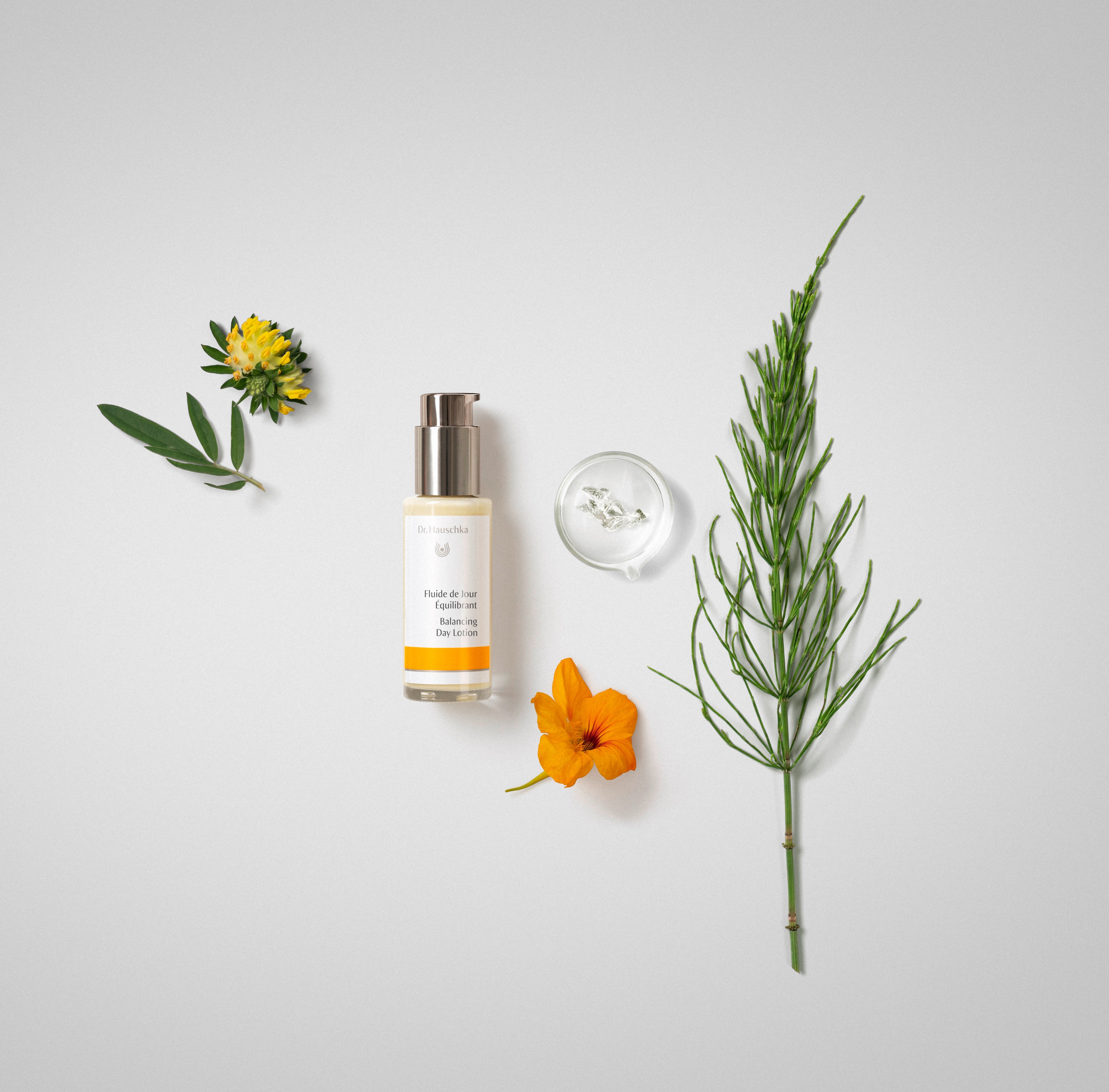 Fluide de Jour Equilibrant DR. HAUSCHKA No color