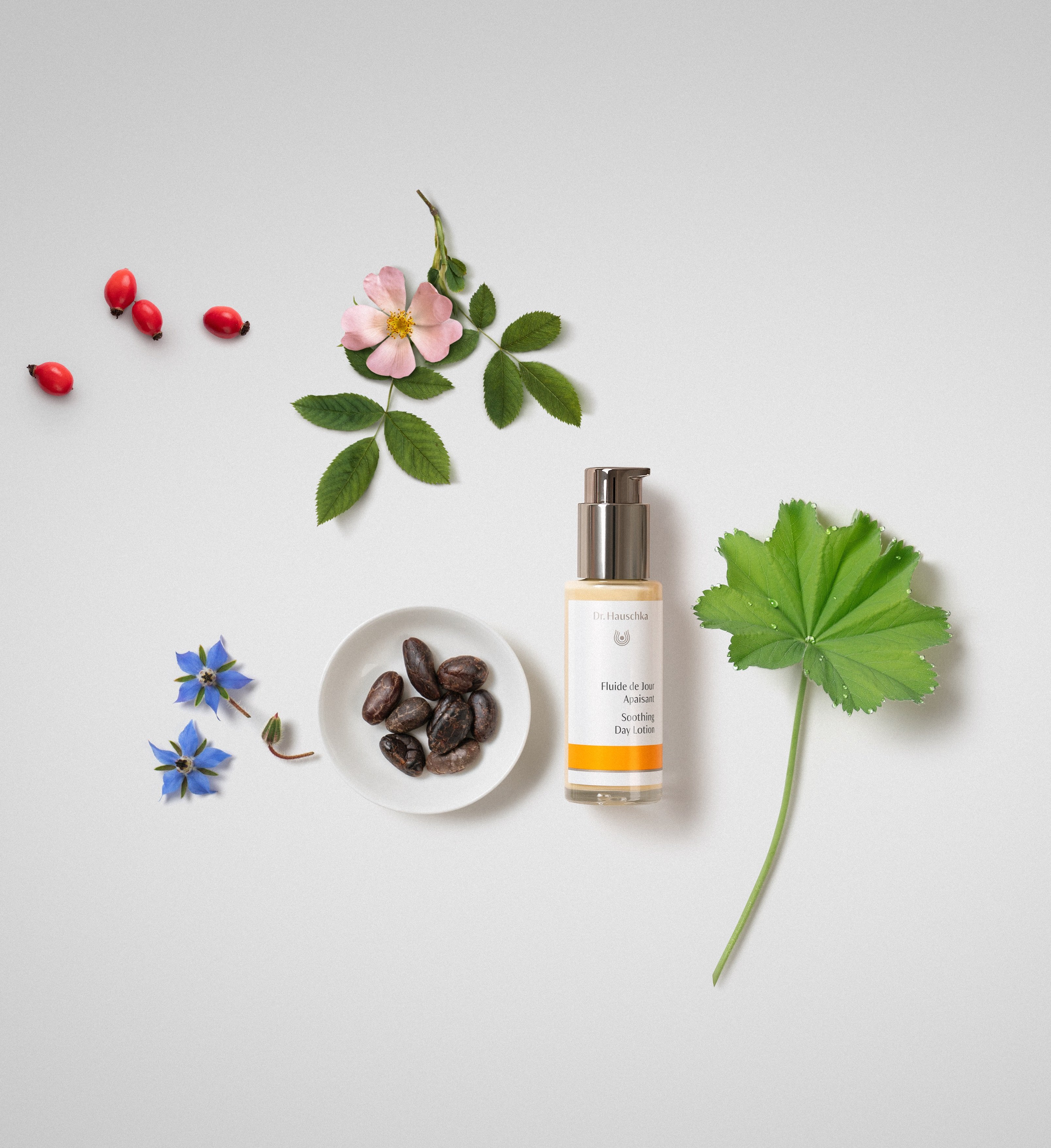 Fluide de Jour Apaisant DR. HAUSCHKA No color