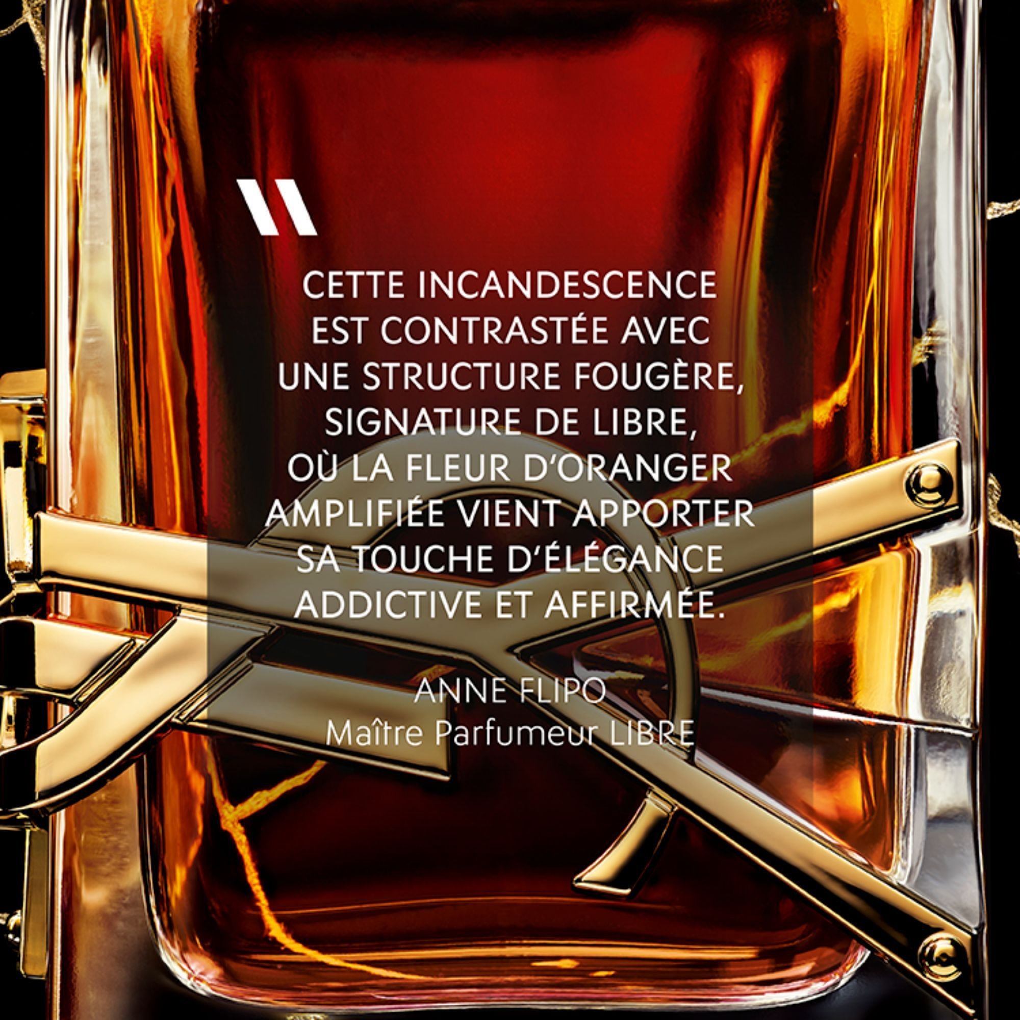 Libre - Eau de parfum YVES SAINT LAURENT No color