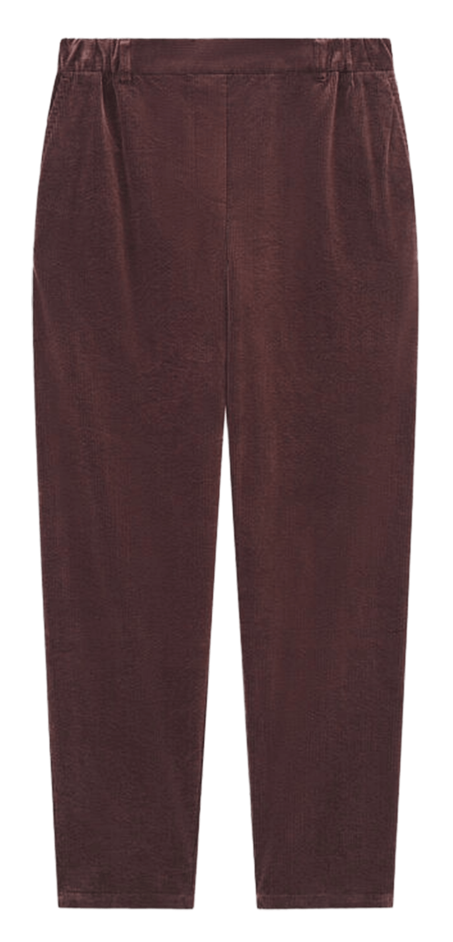 Pantalon fuselé en velours côtelé CAROLL Marron