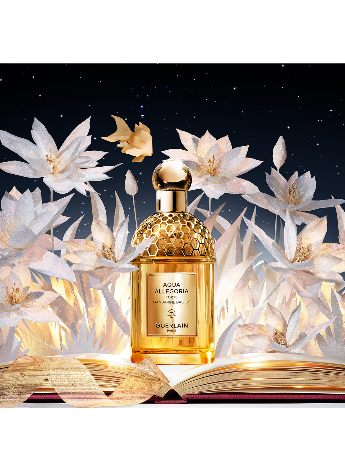AQUA ALLEGORIA MANDARINE BASILIC FORTE - Coffret Eau de Parfum GUERLAIN No color