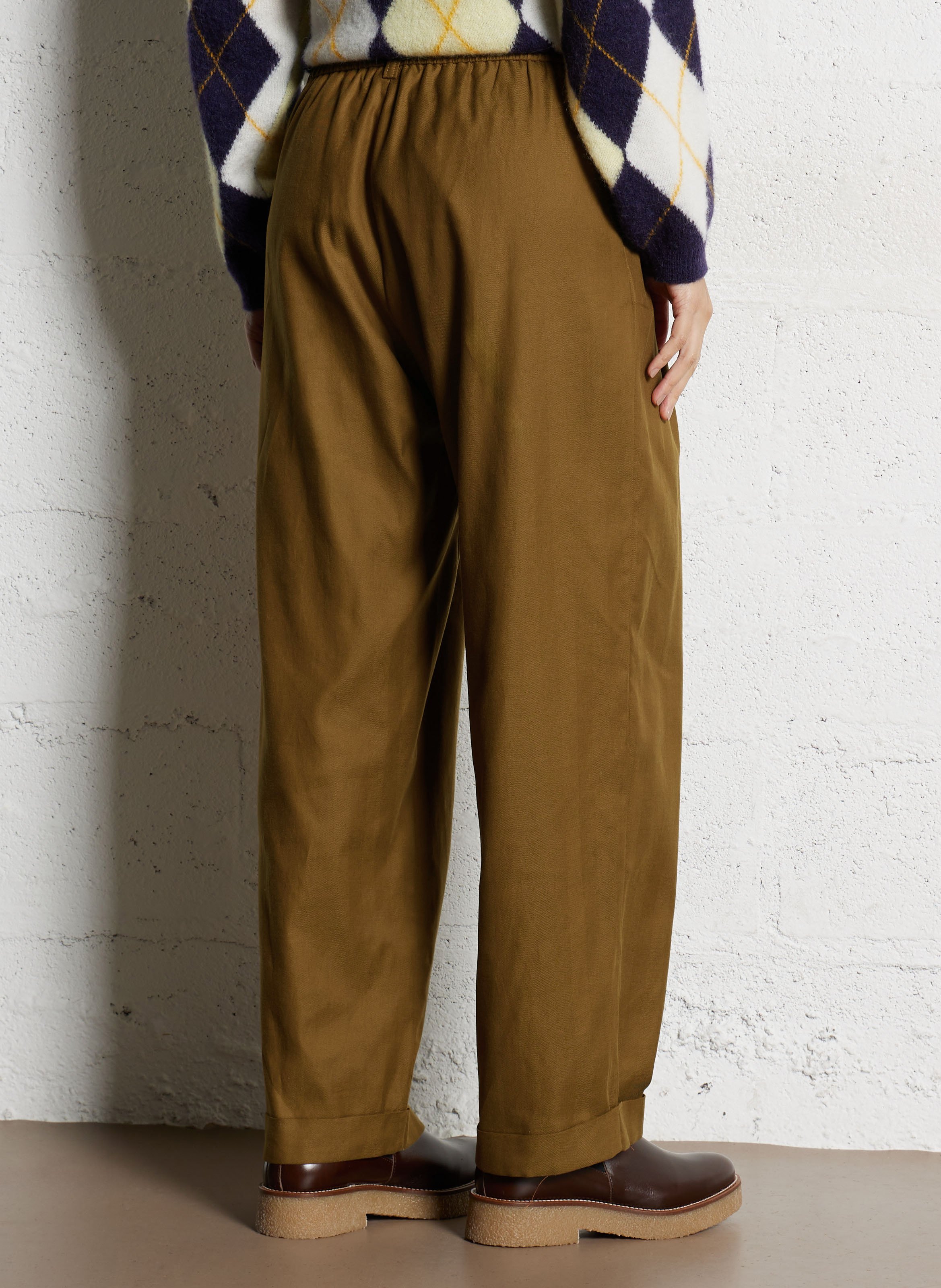 Wide-leg pleated pants Brown