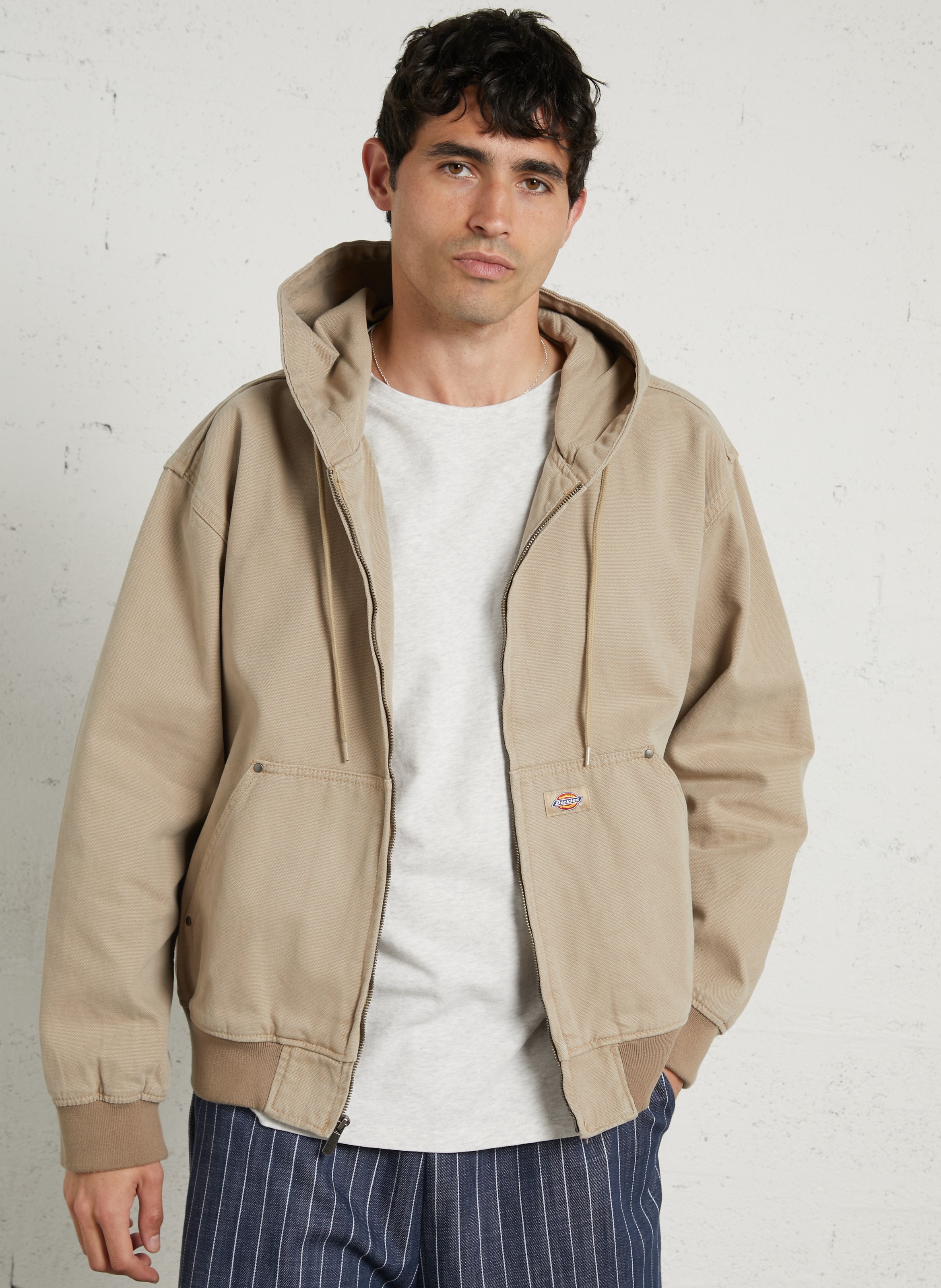 Veste à capuche droite en coton DICKIES Beige