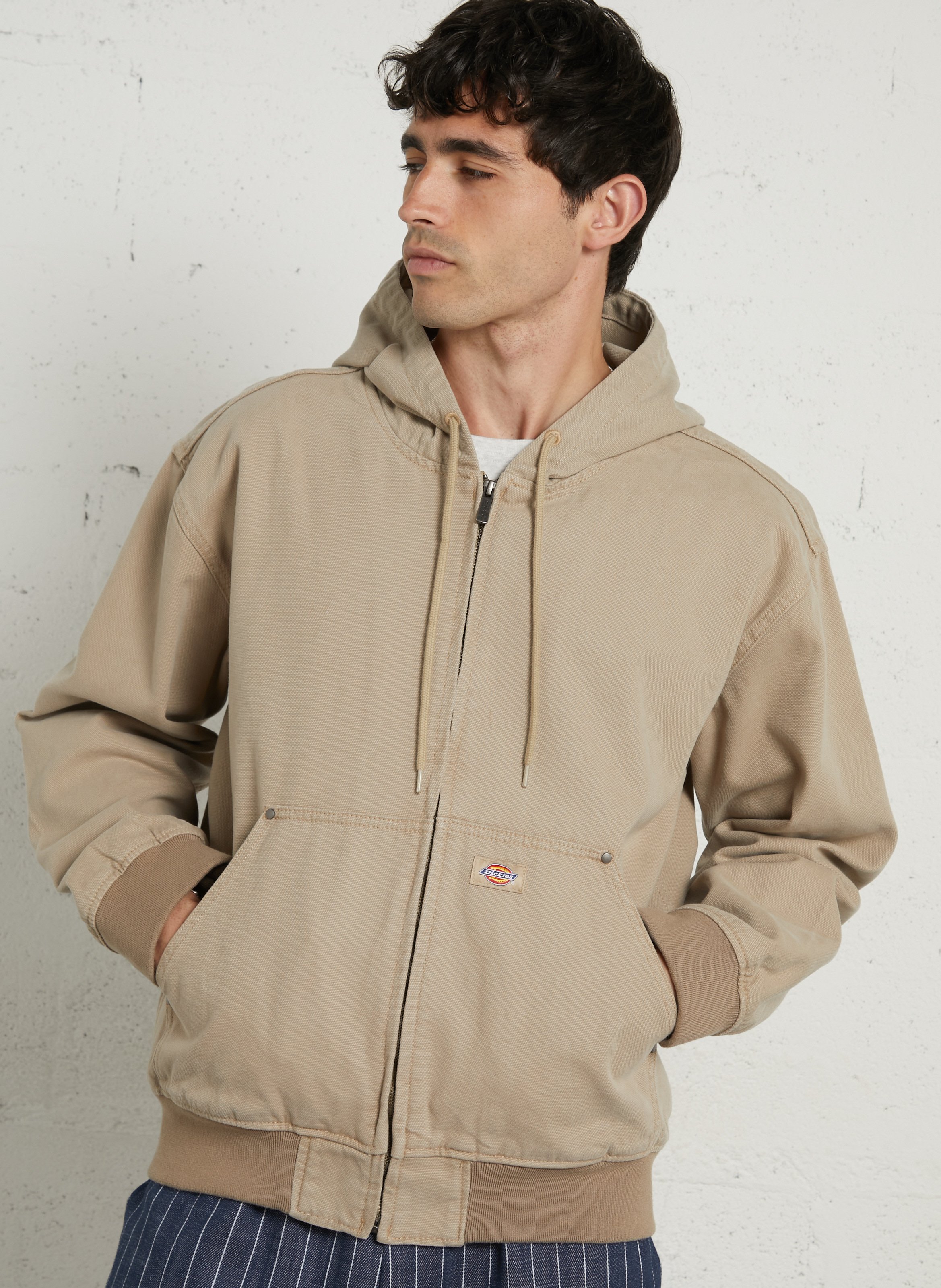 Veste à capuche droite en coton DICKIES Beige