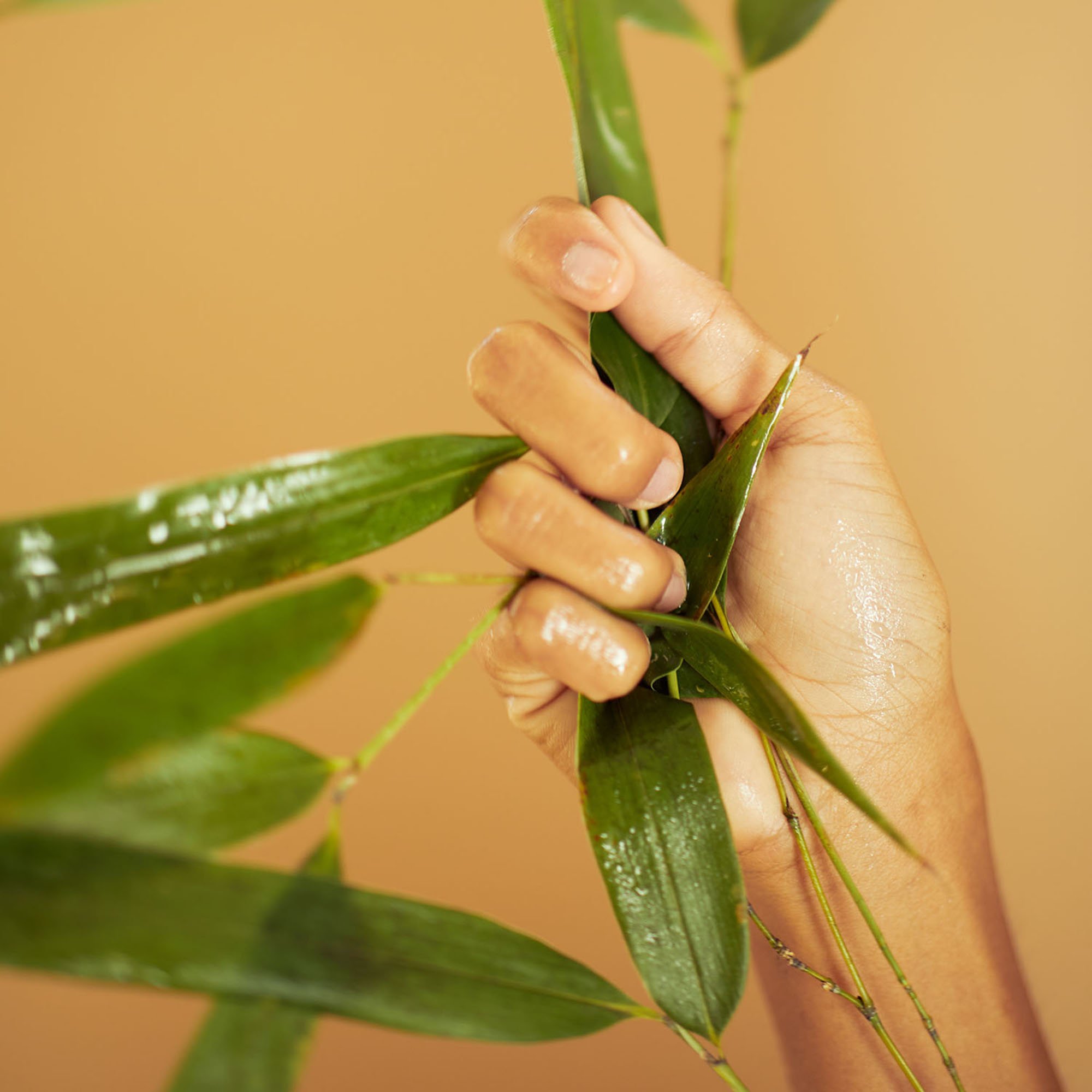 Bamboo Crème Frappée - Skin-Reviving Fresh Gel ERBORIAN No color