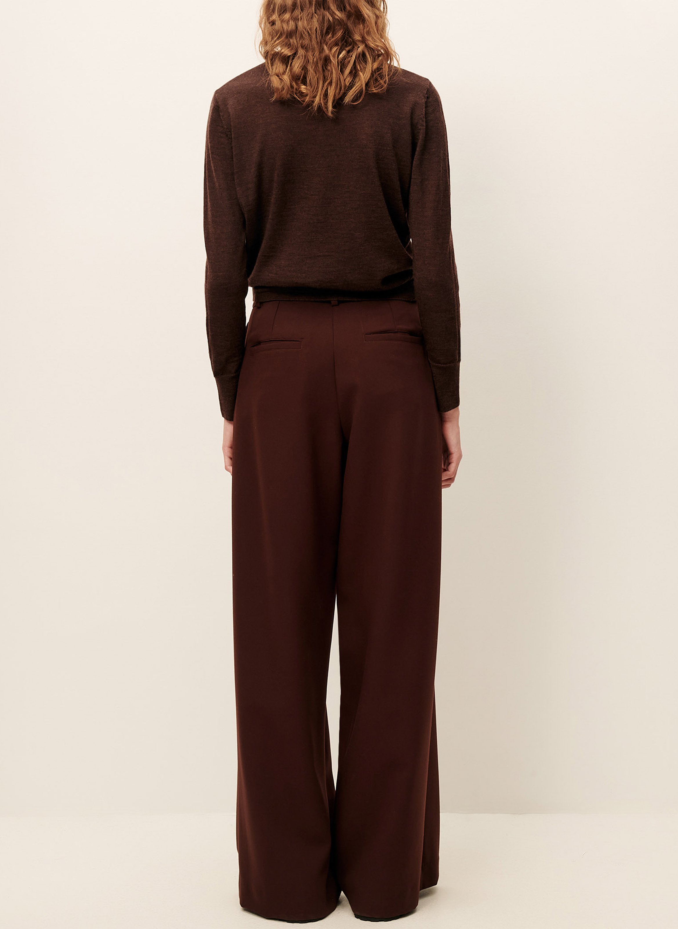 Wide-leg high waist pleated pants SESSUN Brown