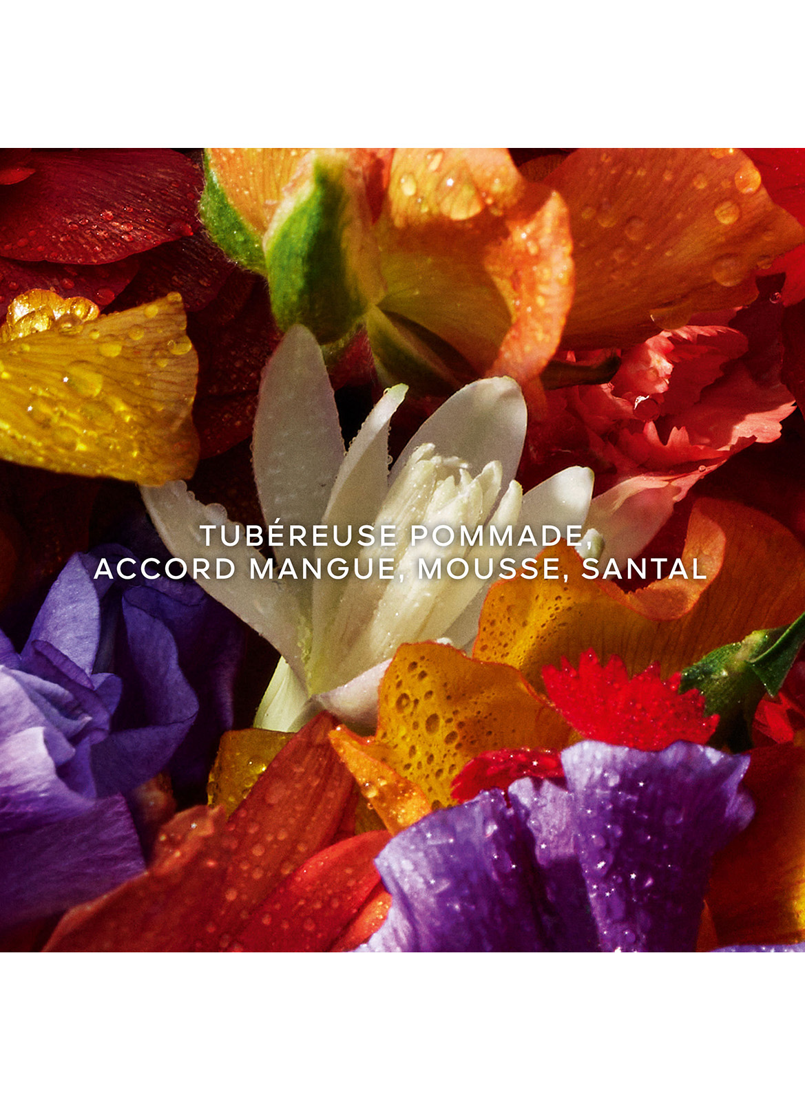 Aqua Allegoria Florabloom Forte - Eau de Parfum Gift Set GUERLAIN No color