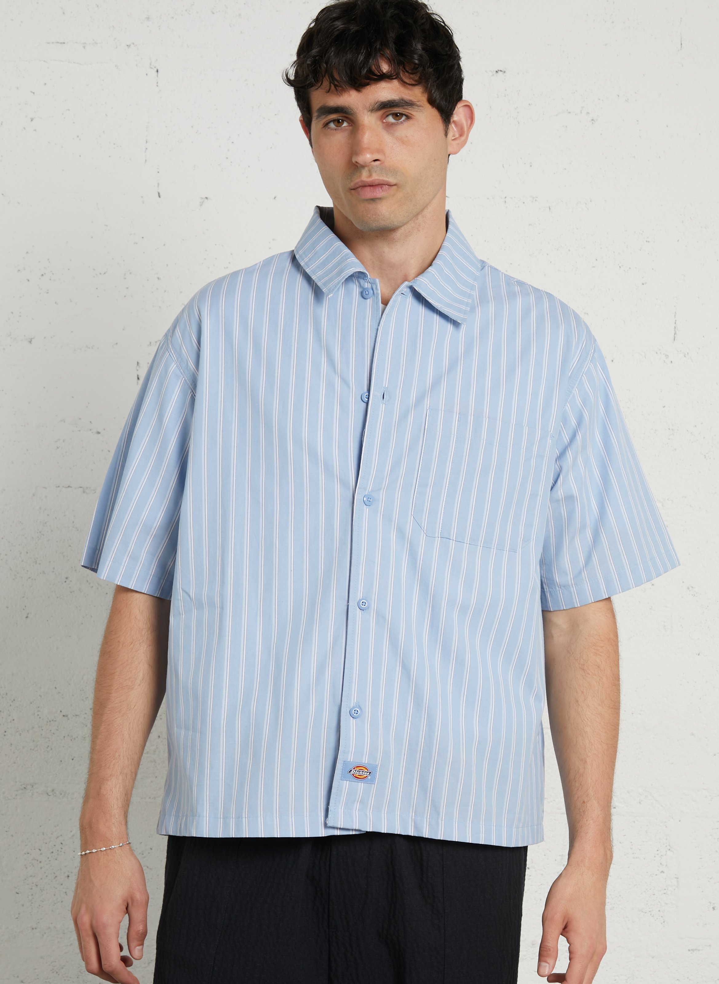 Chemise regular-fit col classique à rayures DICKIES Bleu