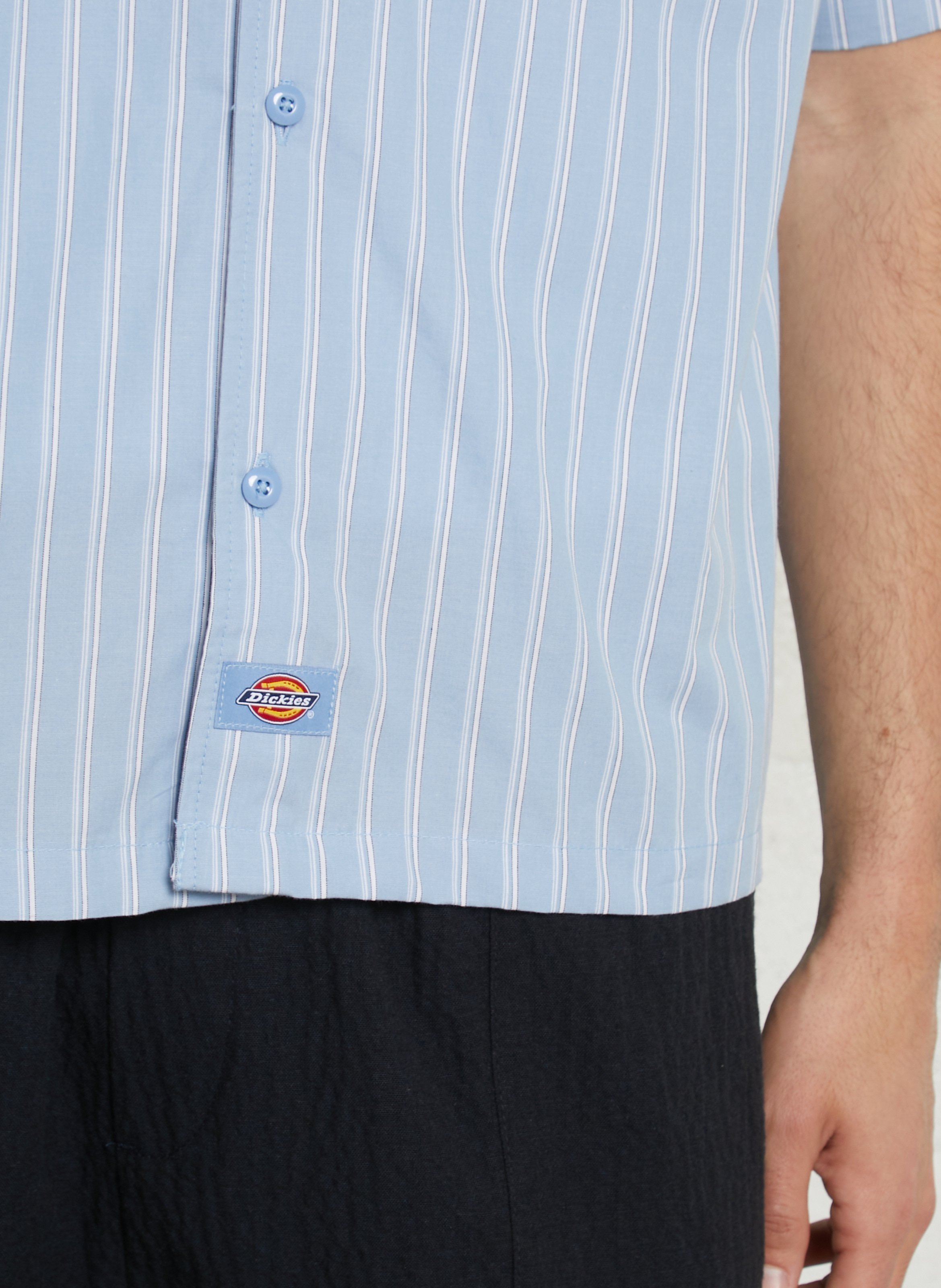Chemise regular-fit col classique à rayures DICKIES Bleu