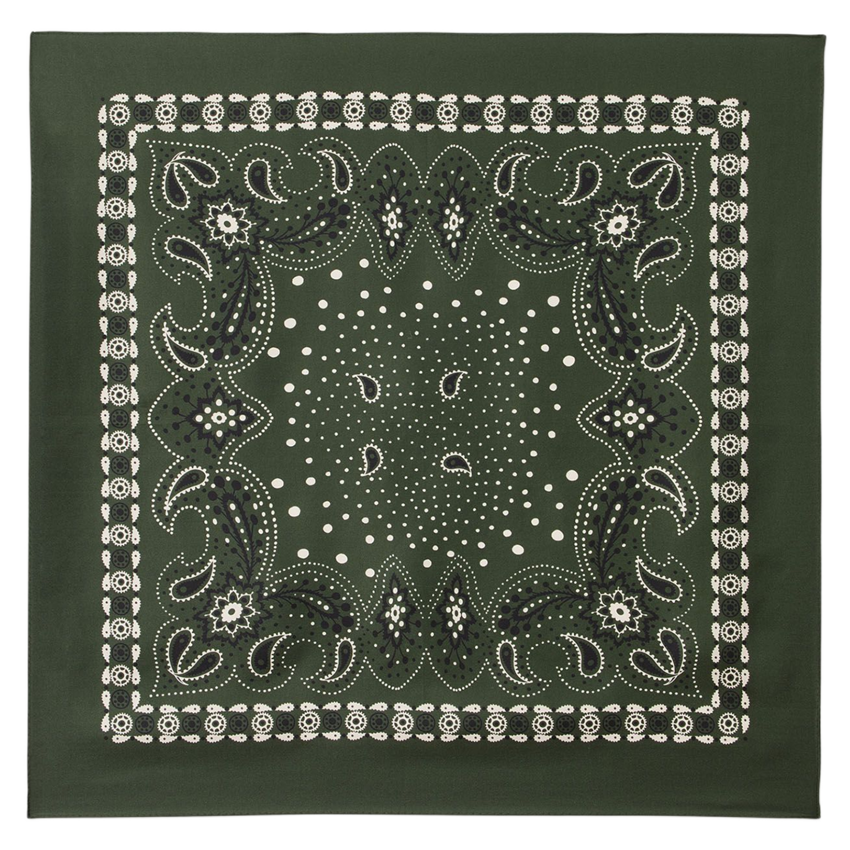 Foulard van zijde met print SANDRO Groen