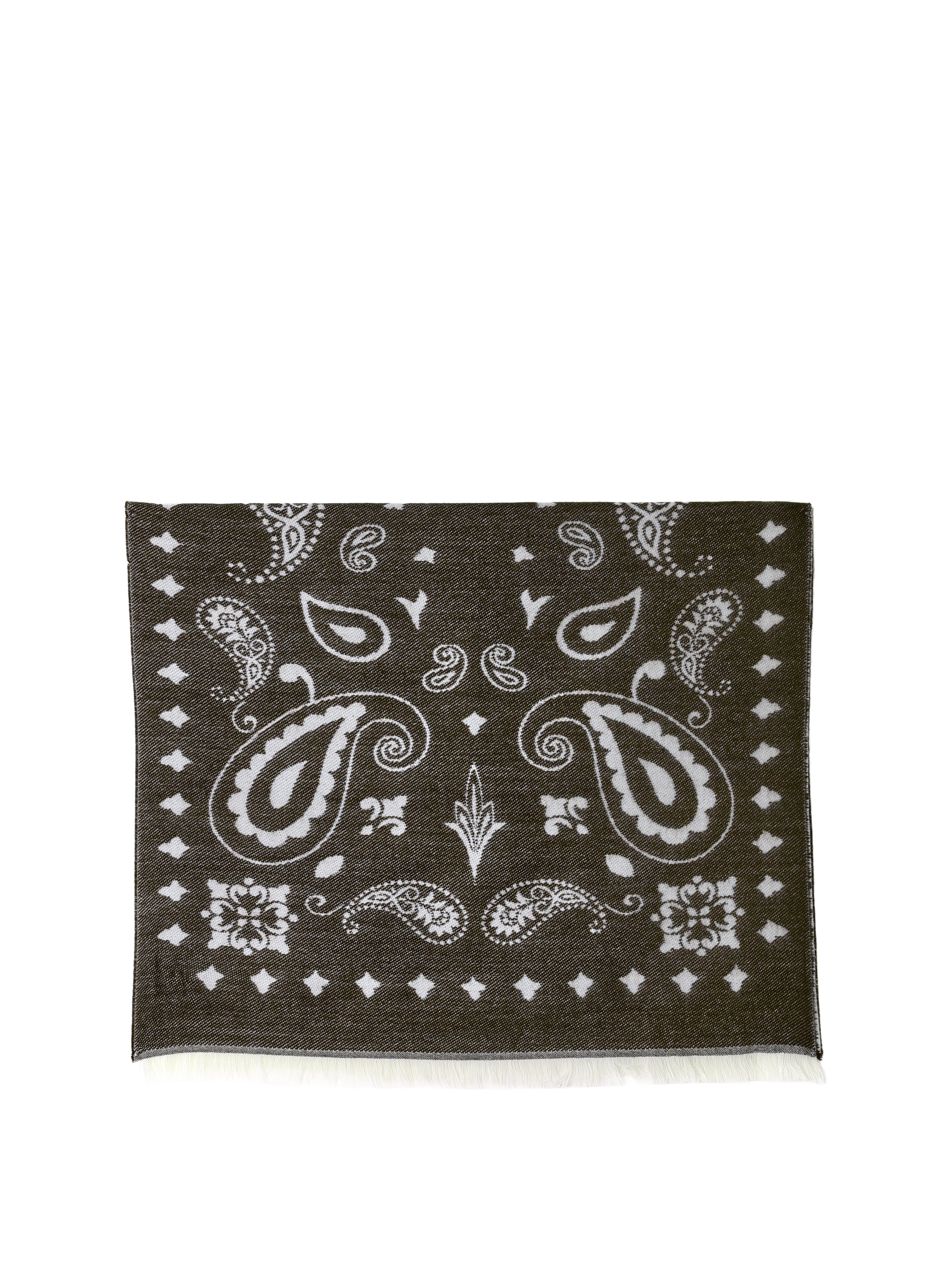 Sjaal AU PRINTEMPS PARIS Bruin