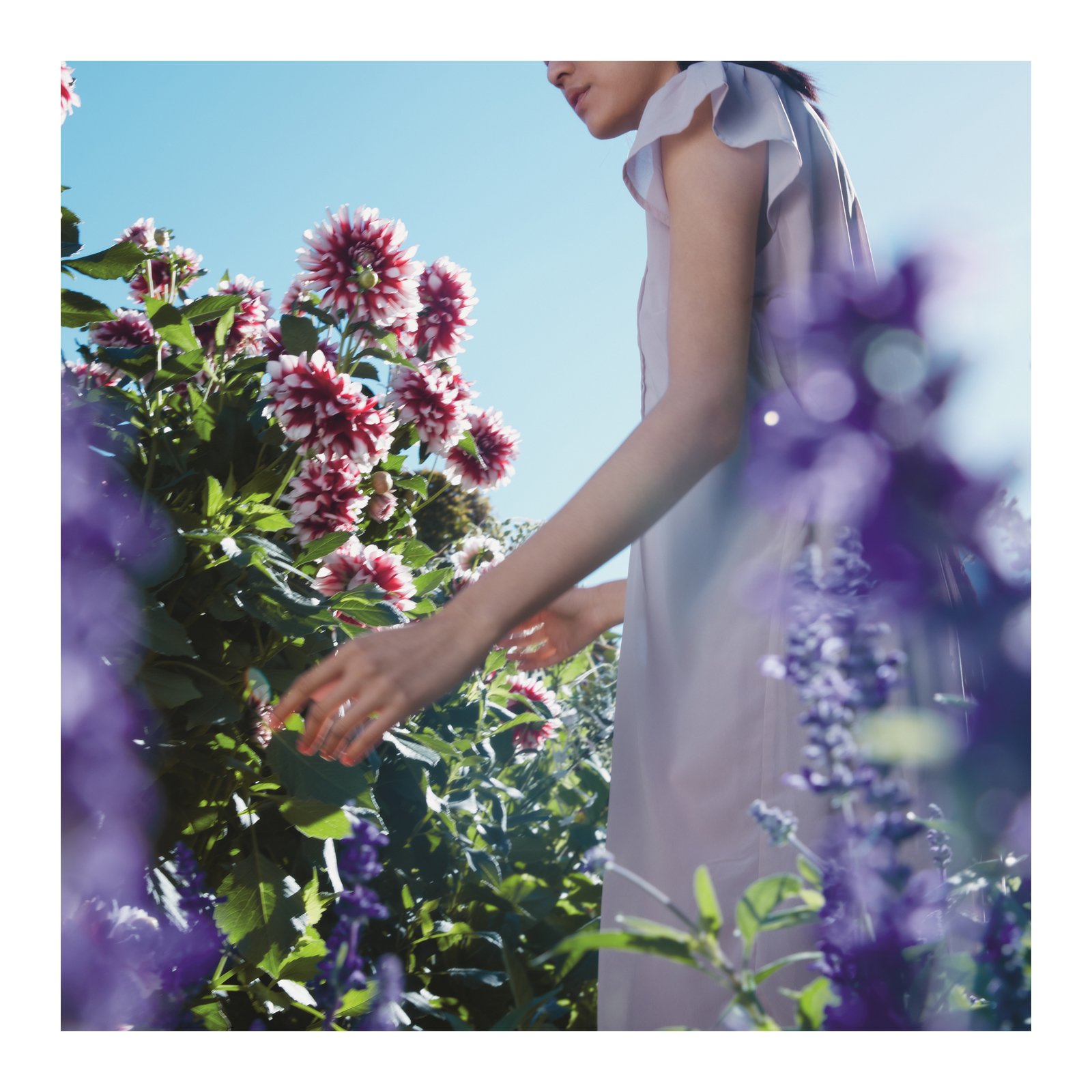 REPLICA SPRINGTIME IN A PARK - EAU DE TOILETTE No color