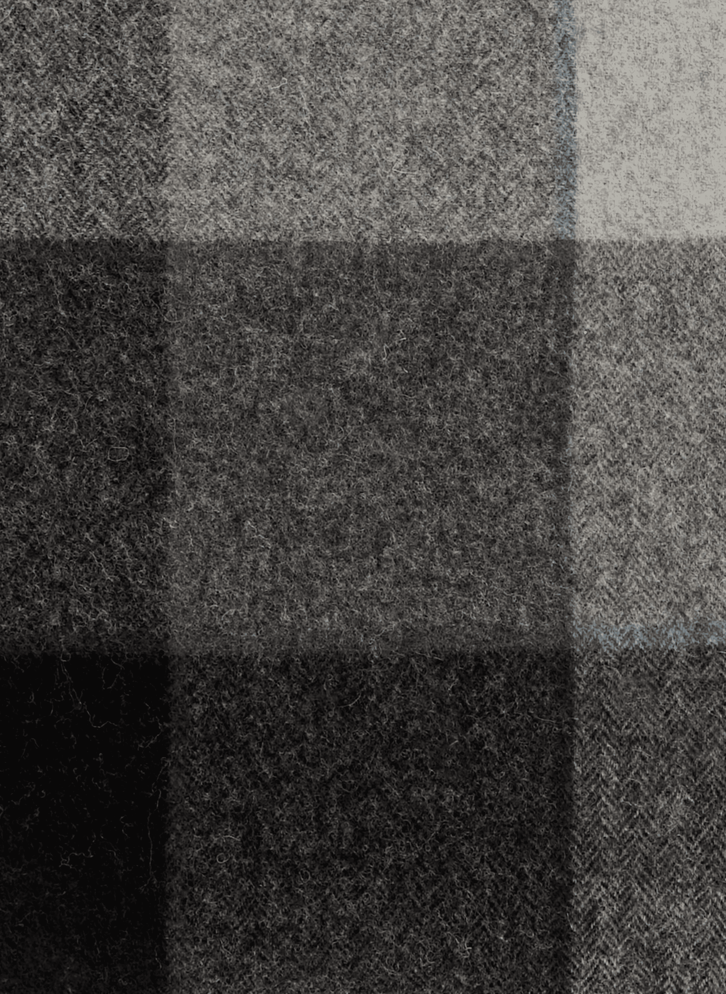 Checked wool scarf SAISON 1865 Multicolored