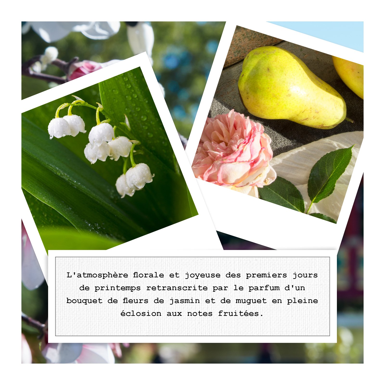 REPLICA SPRINGTIME IN A PARK - EAU DE TOILETTE No color