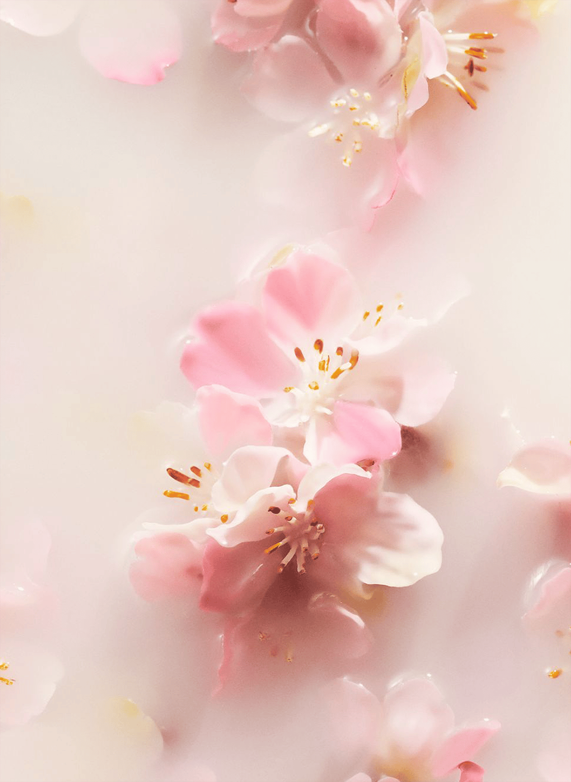 El Ritual de Sakura - Bálsamo para Manos RITUALS No color