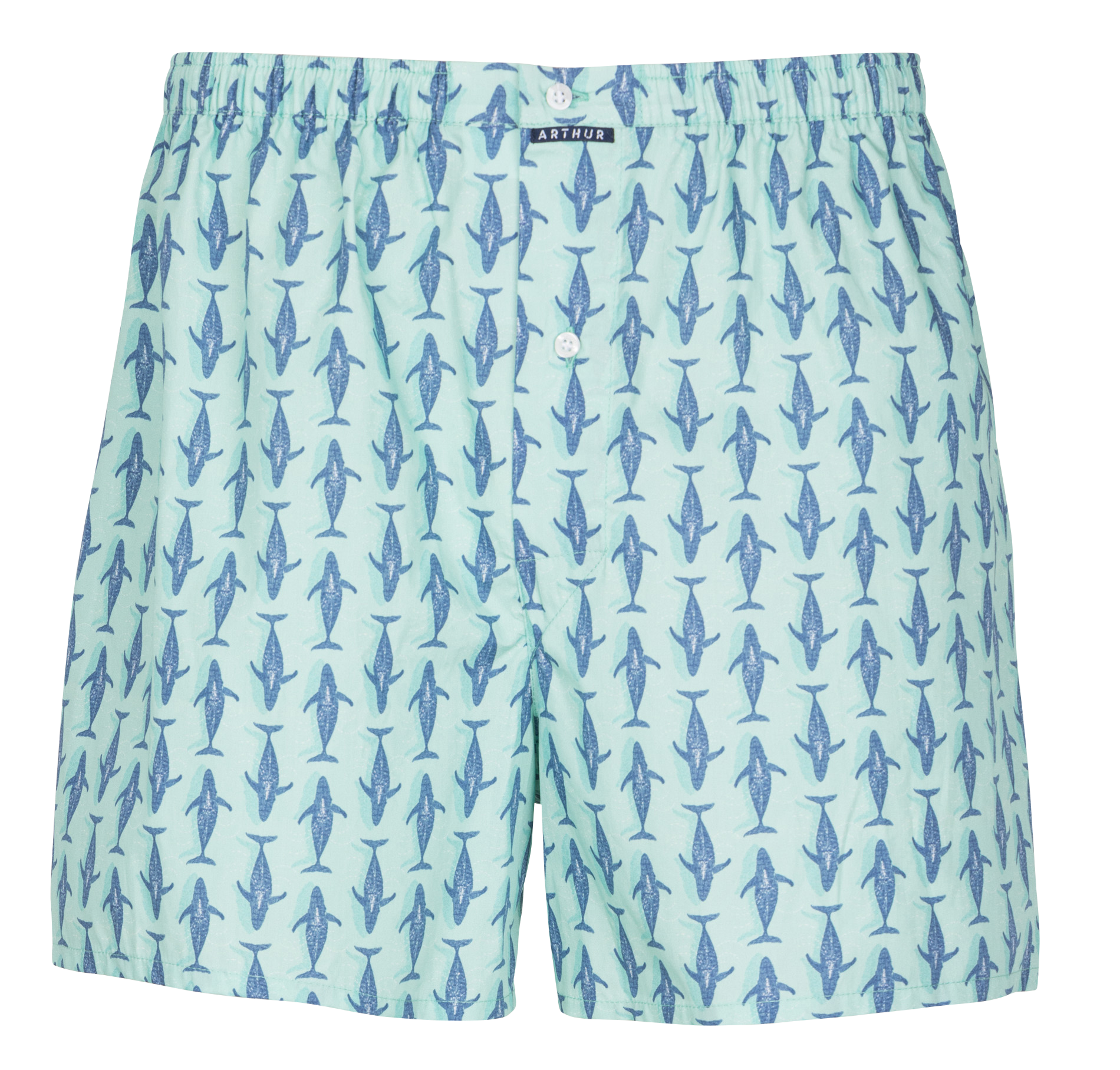 Printed cotton boxer shorts ARTHUR Green