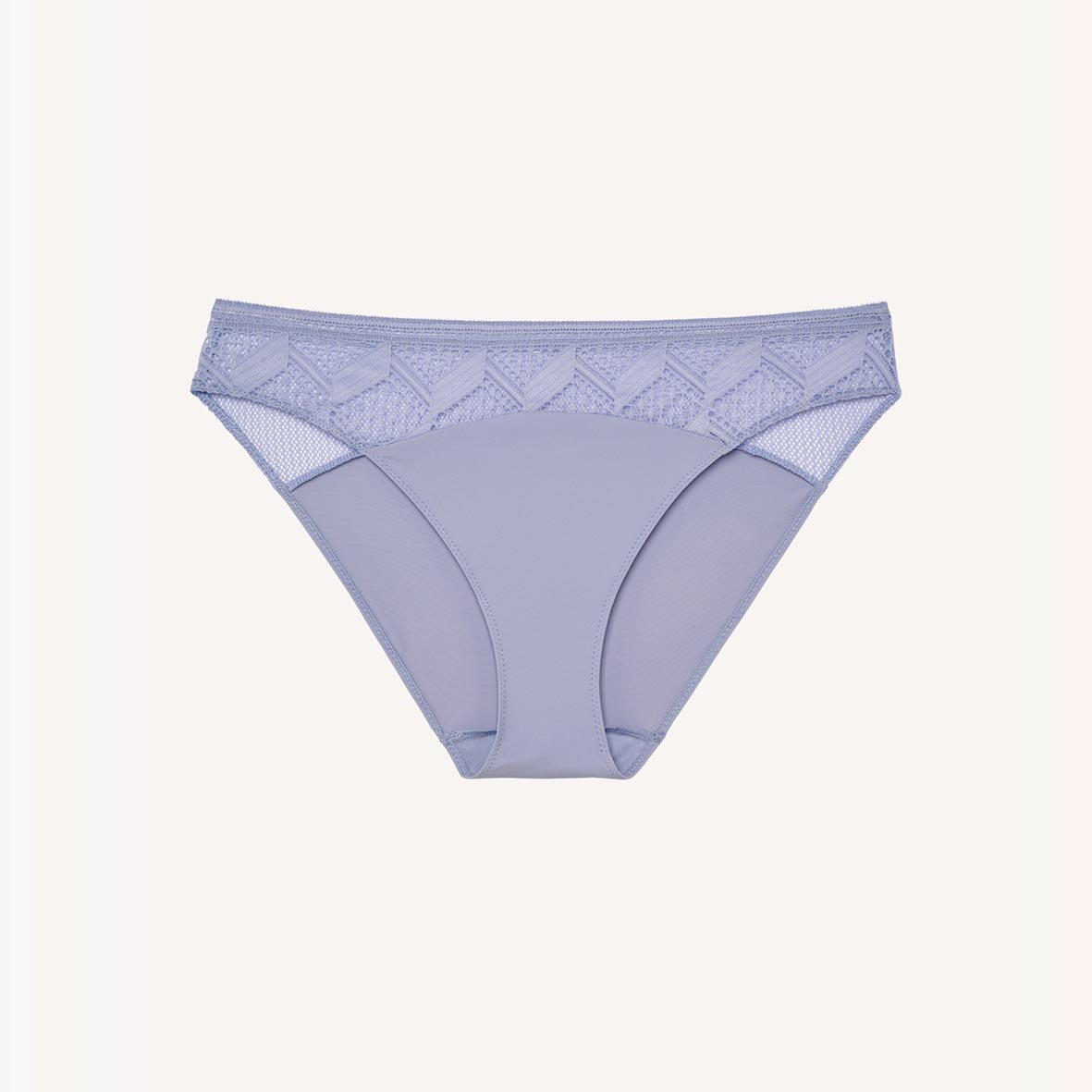 Briefs PASSIONATA Blue