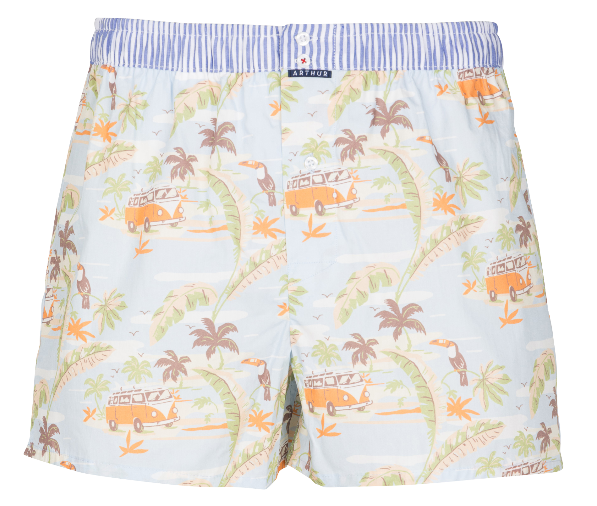 Caleçon en coton imprimé ARTHUR Multicolore