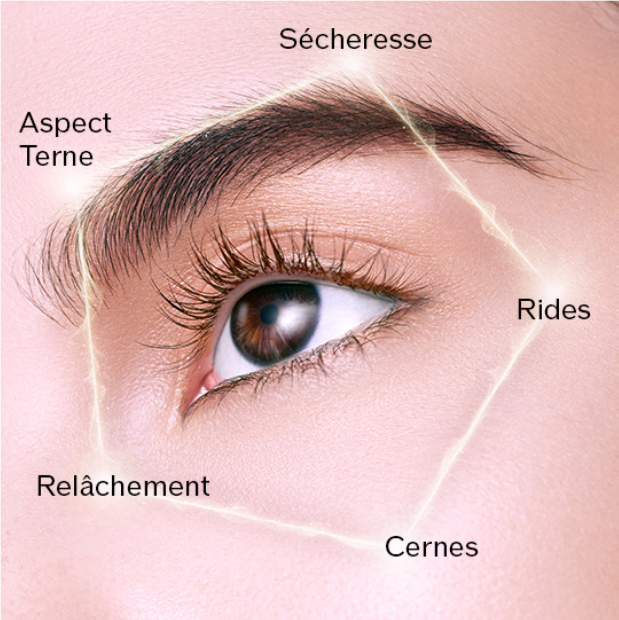 FUTURE SOLUTION LX Enmei Crème Yeux Ultime SHISEIDO No color