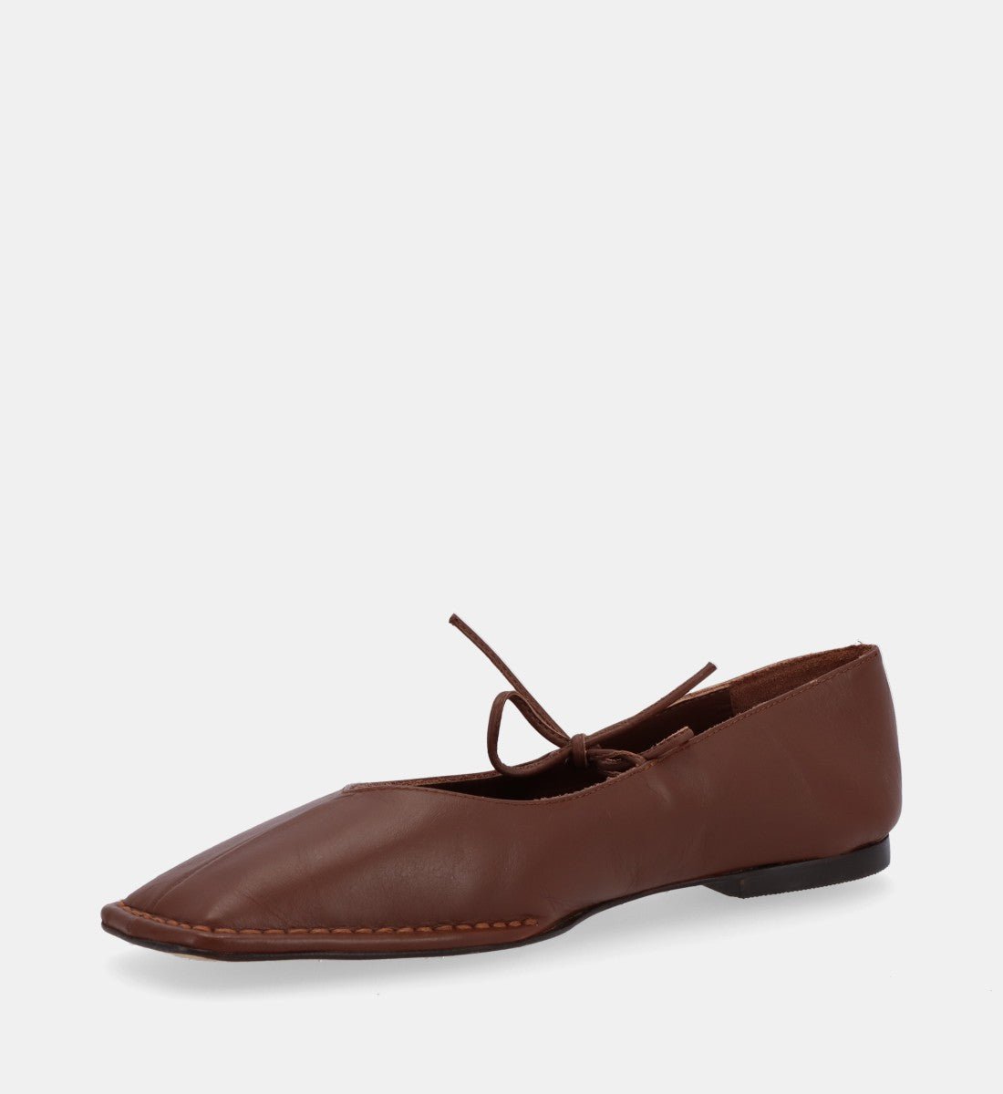 Cendrillon goatskin leather ballet pumps ALOHAS Brown