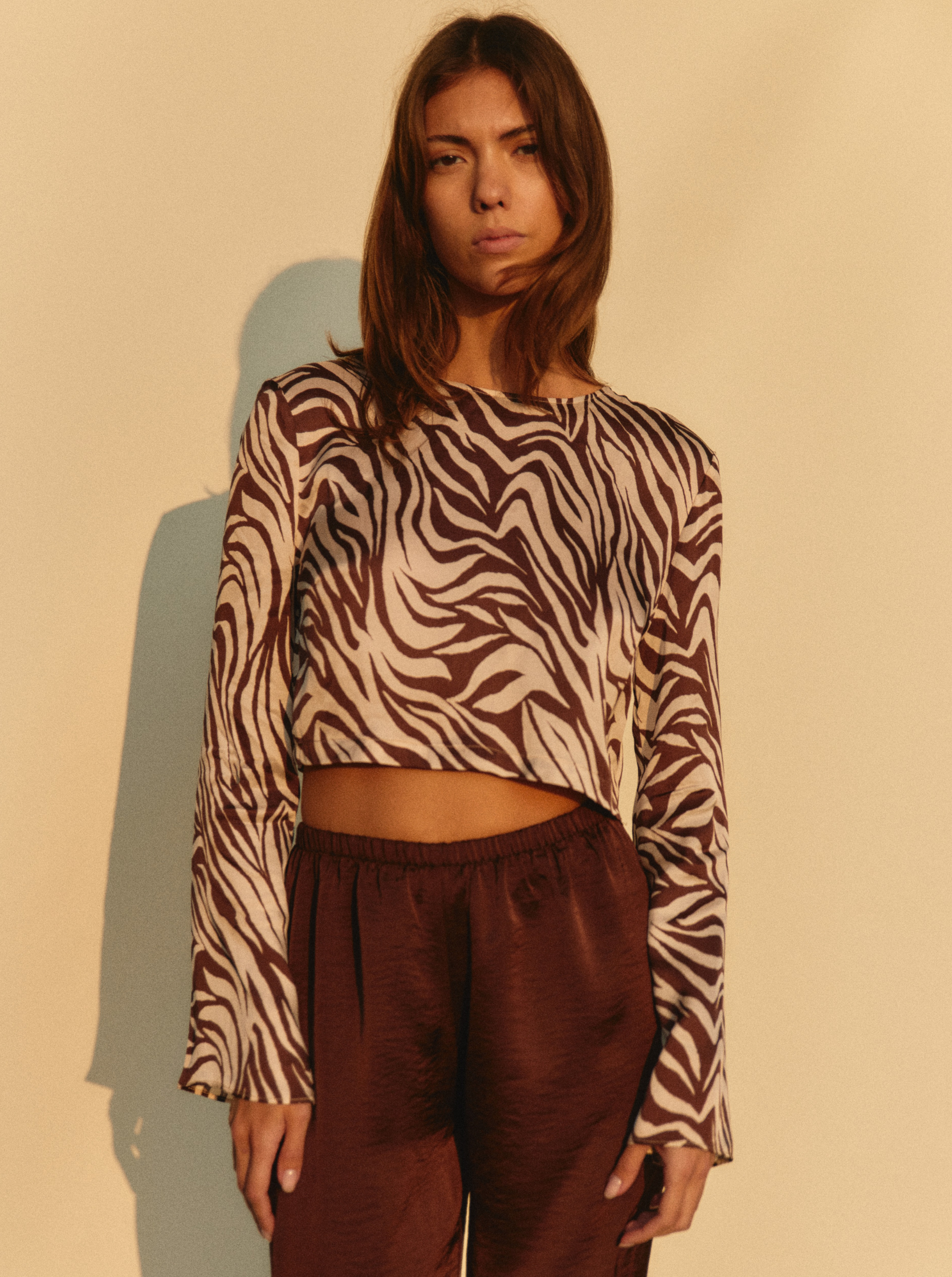 Top chocolate zebra NOO Brown