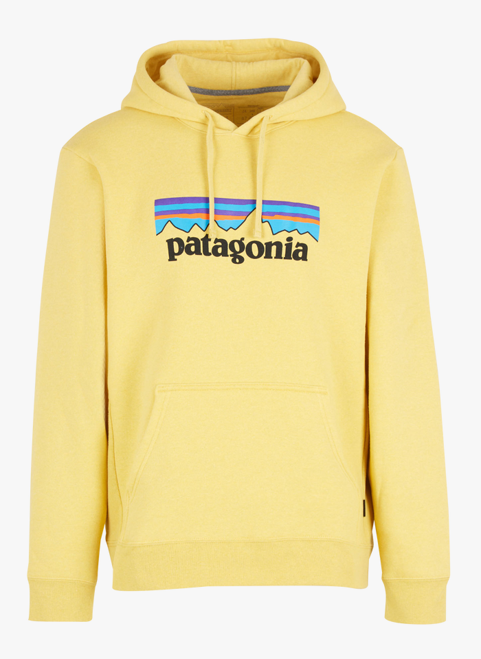 hoodie patagonia femme