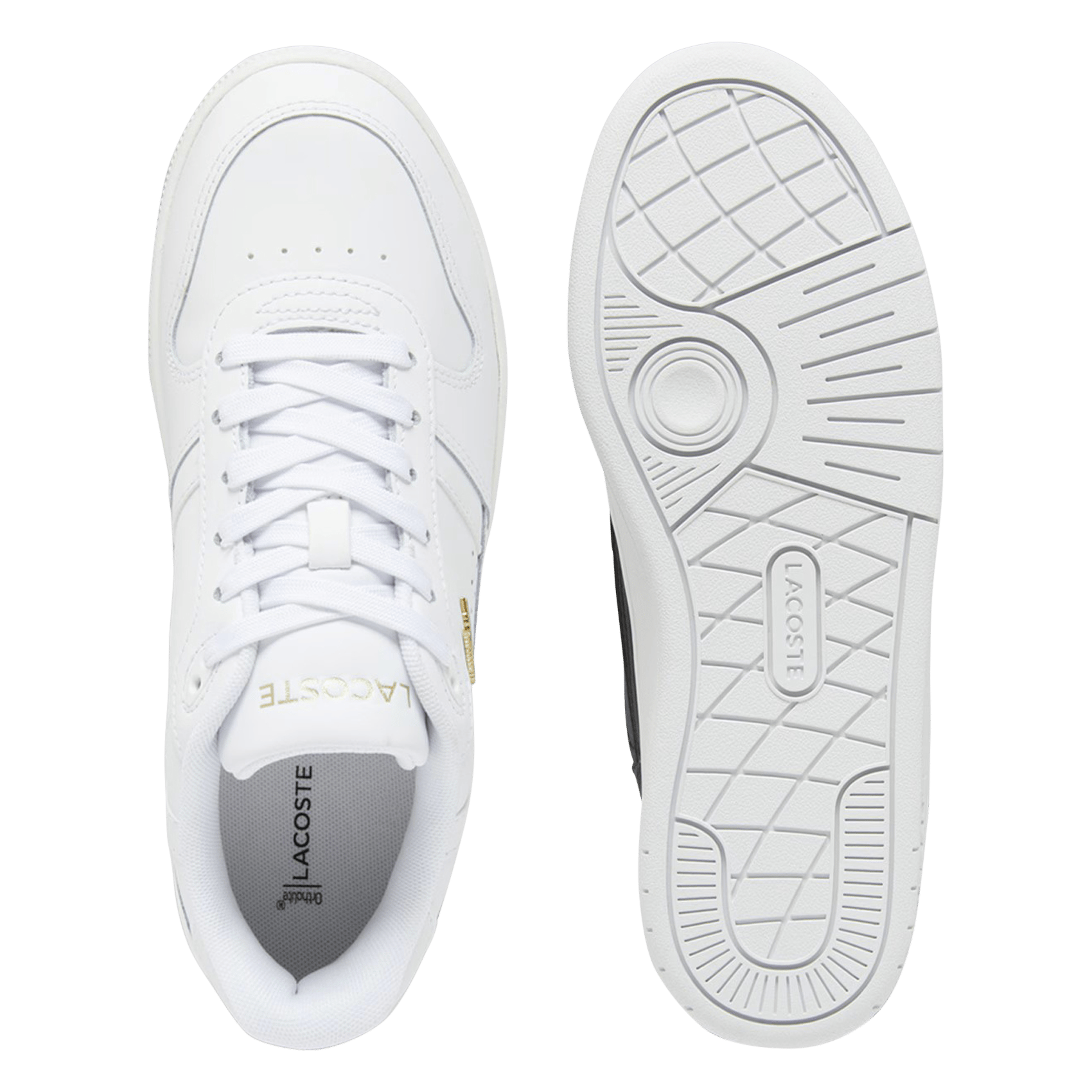 Baskets basses en cuir  LACOSTE Blanc